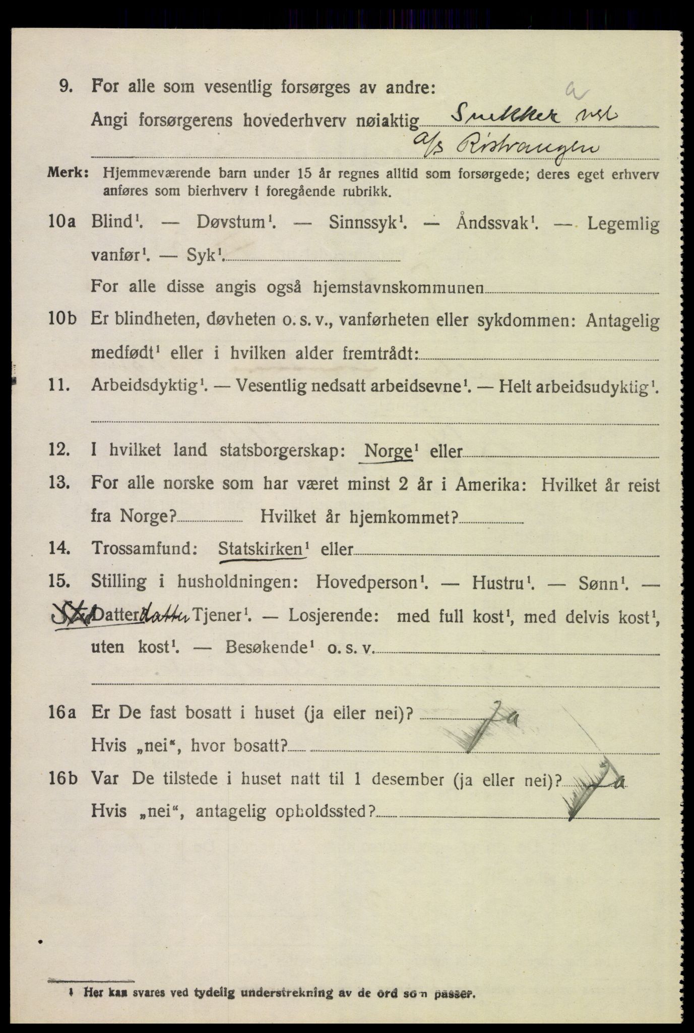 SAH, 1920 census for Tynset, 1920, p. 8593