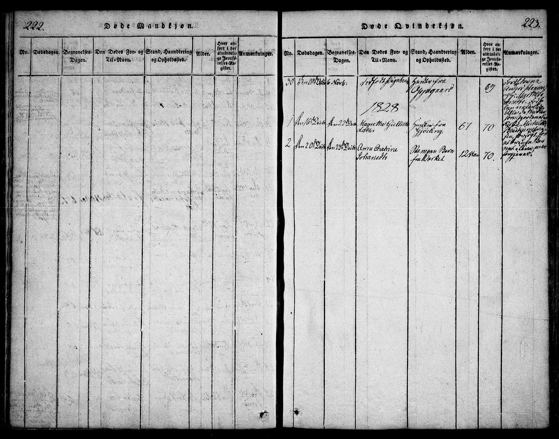 Hurdal prestekontor Kirkebøker, AV/SAO-A-10889/F/Fa/L0003: Parish register (official) no. I 3, 1815-1828, p. 222-223