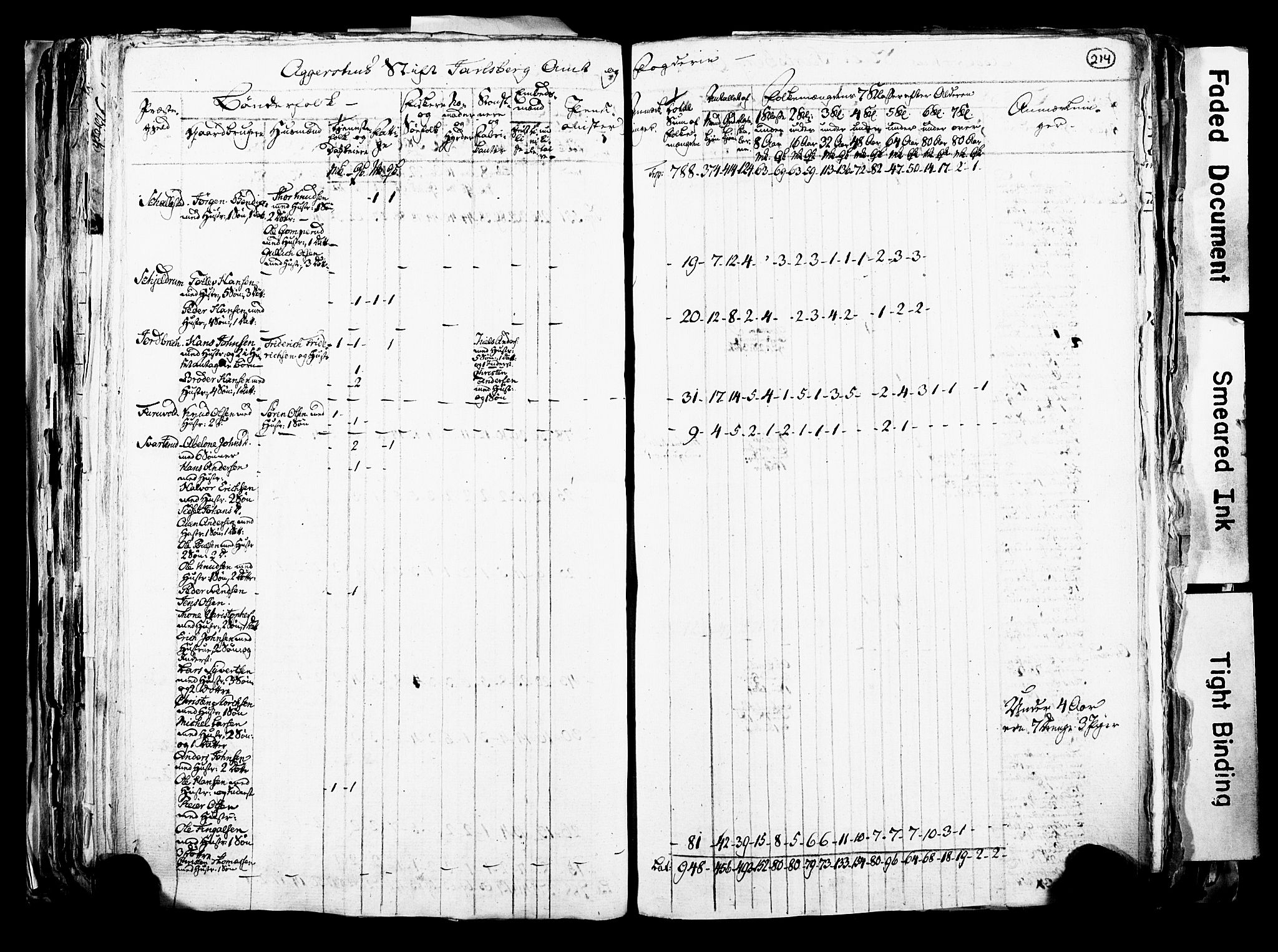 RA, Census 1815 for Skoger parish, 1815, p. 214