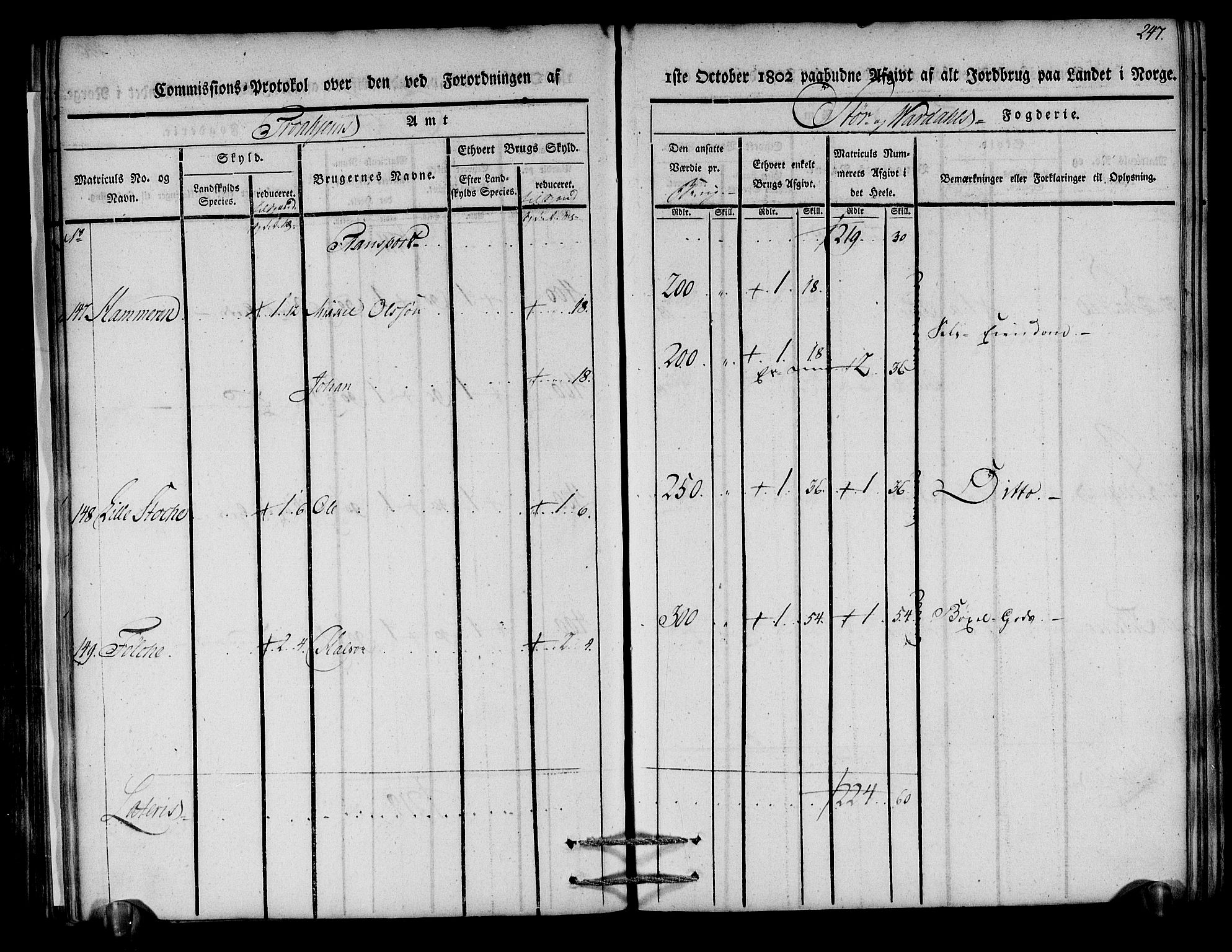 Rentekammeret inntil 1814, Realistisk ordnet avdeling, AV/RA-EA-4070/N/Ne/Nea/L0148: Stjørdal og Verdal fogderi. Kommisjonsprotokoll, 1803, p. 249