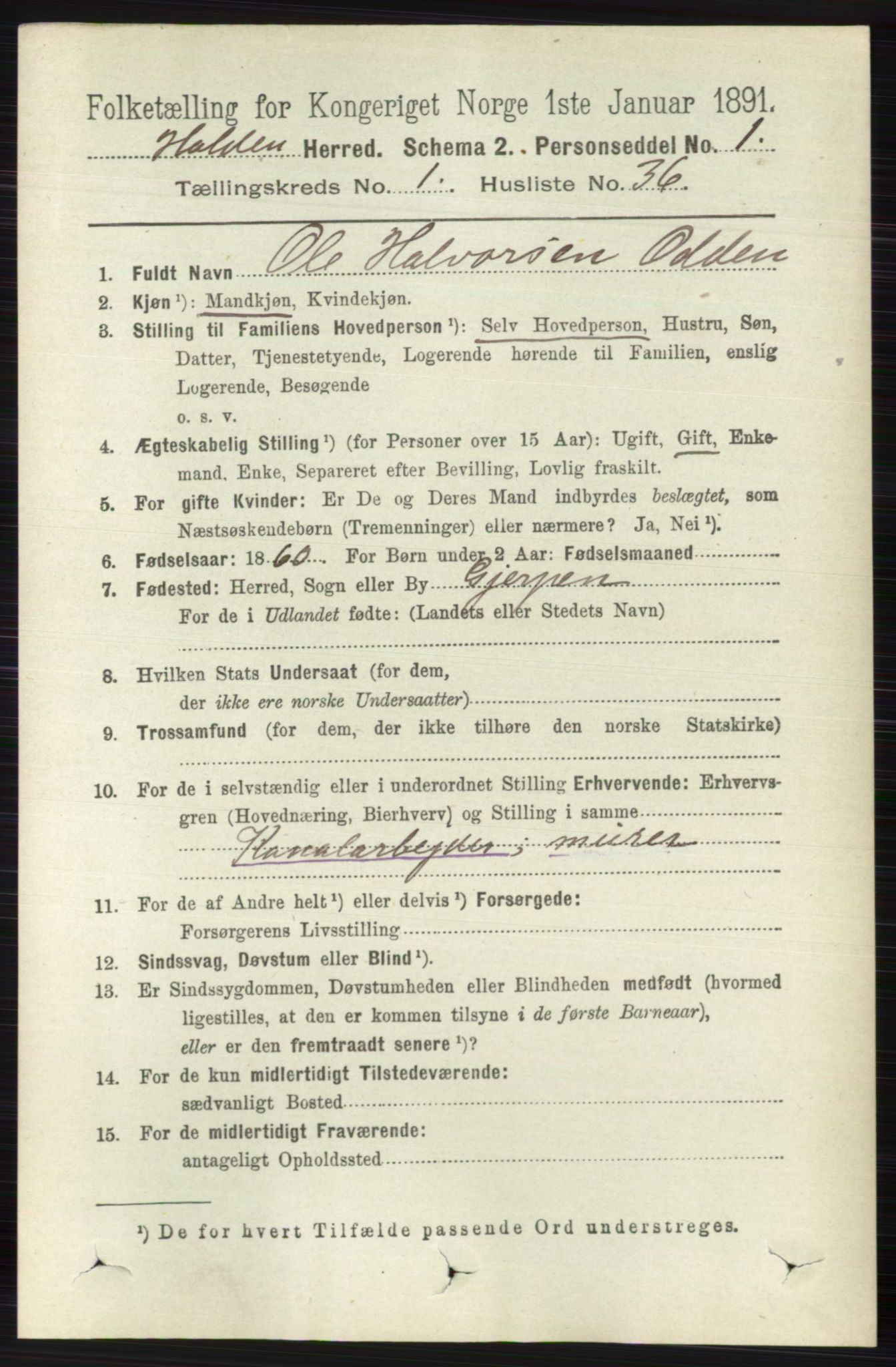 RA, 1891 census for 0819 Holla, 1891, p. 495