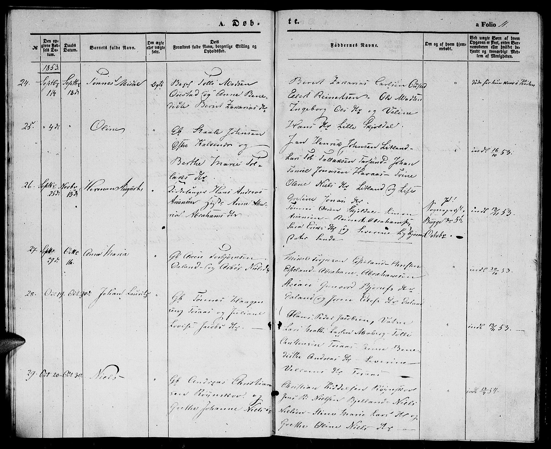 Herad sokneprestkontor, AV/SAK-1111-0018/F/Fb/Fba/L0002: Parish register (copy) no. B 2, 1852-1862, p. 11