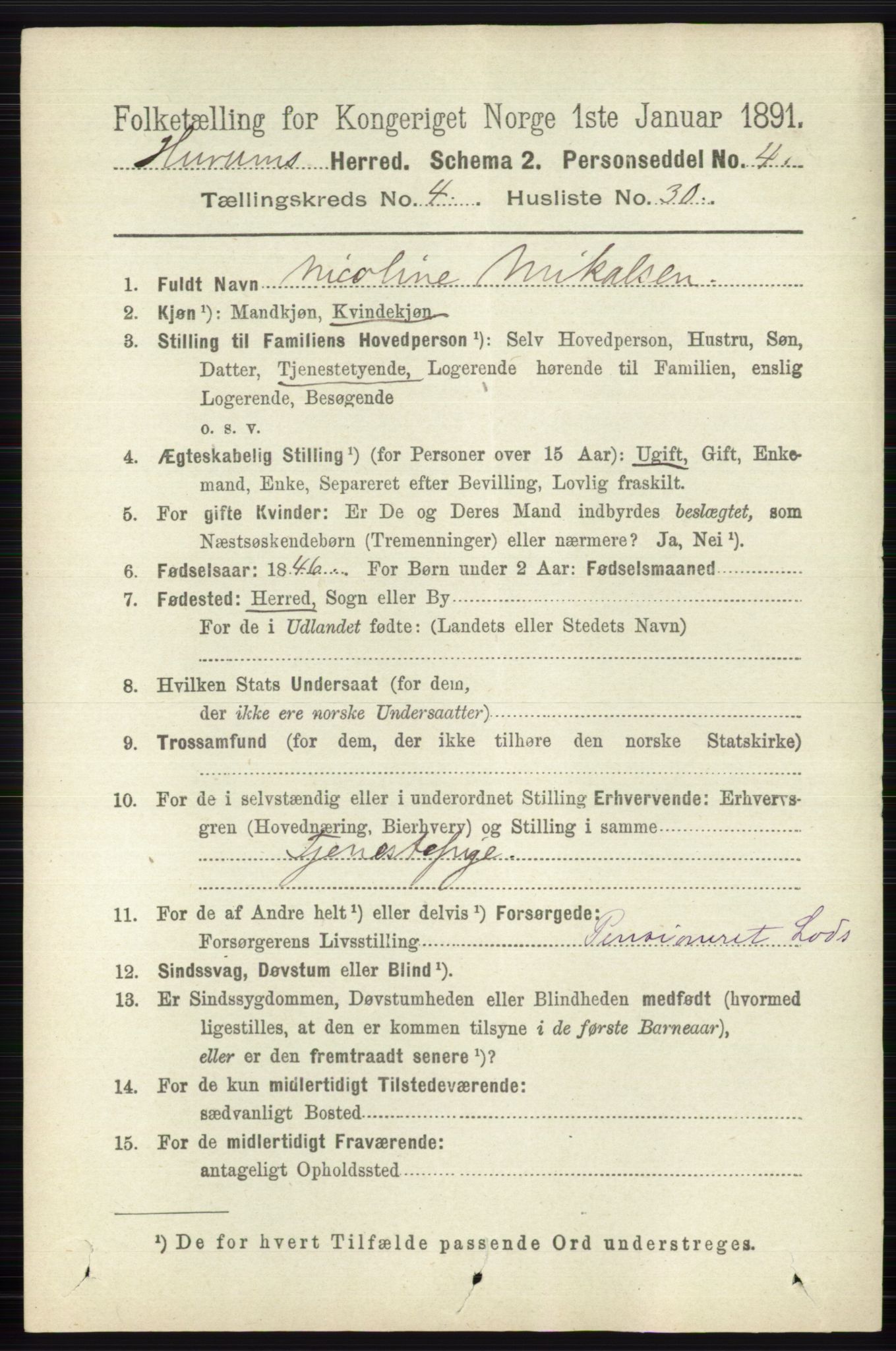 RA, 1891 census for 0628 Hurum, 1891, p. 1308