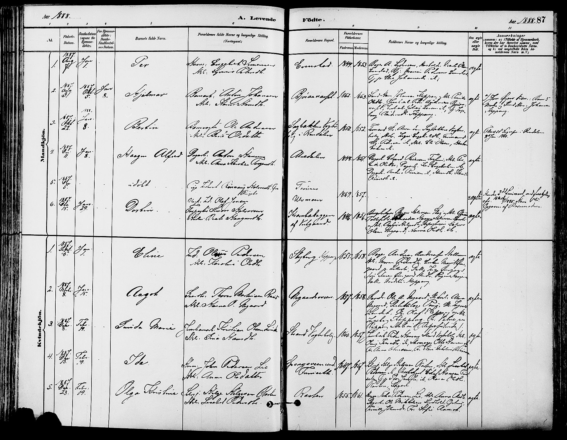 Stor-Elvdal prestekontor, SAH/PREST-052/H/Ha/Haa/L0002: Parish register (official) no. 2, 1882-1907, p. 87