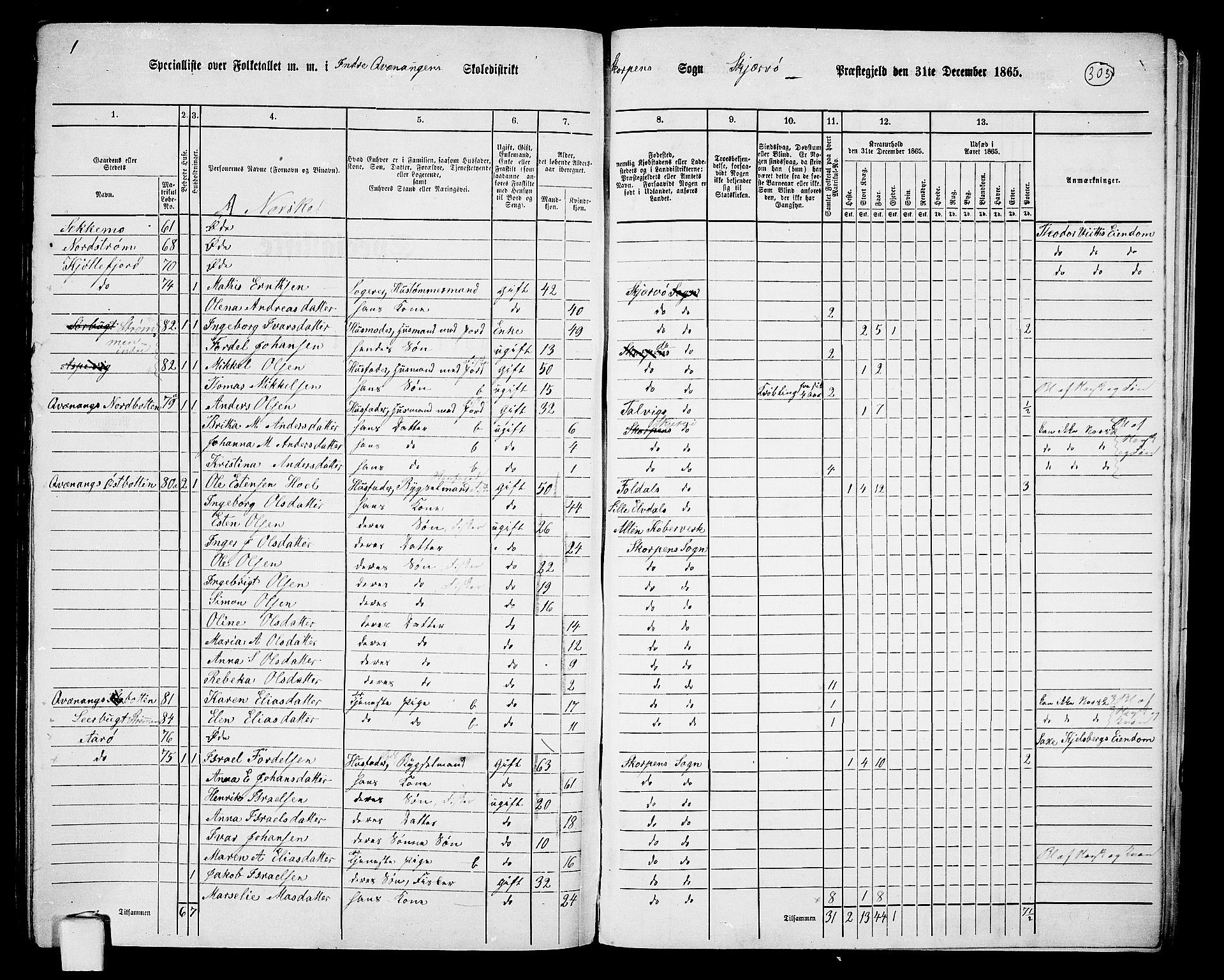 RA, 1865 census for Skjervøy, 1865, p. 176