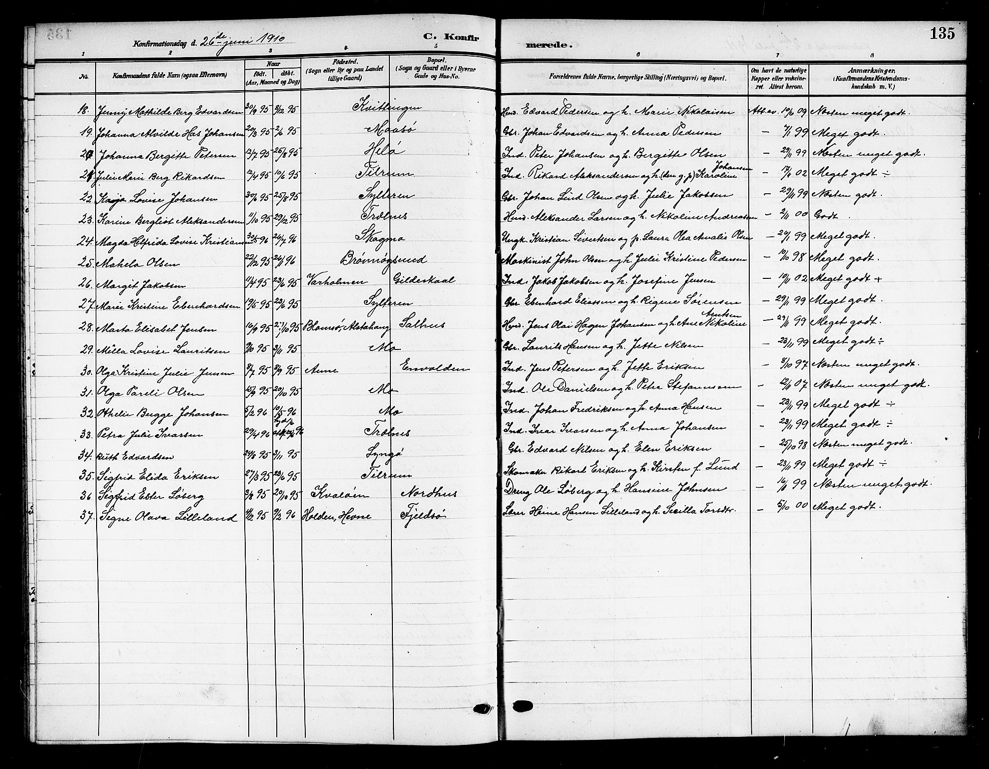 Ministerialprotokoller, klokkerbøker og fødselsregistre - Nordland, SAT/A-1459/813/L0214: Parish register (copy) no. 813C06, 1904-1917, p. 135
