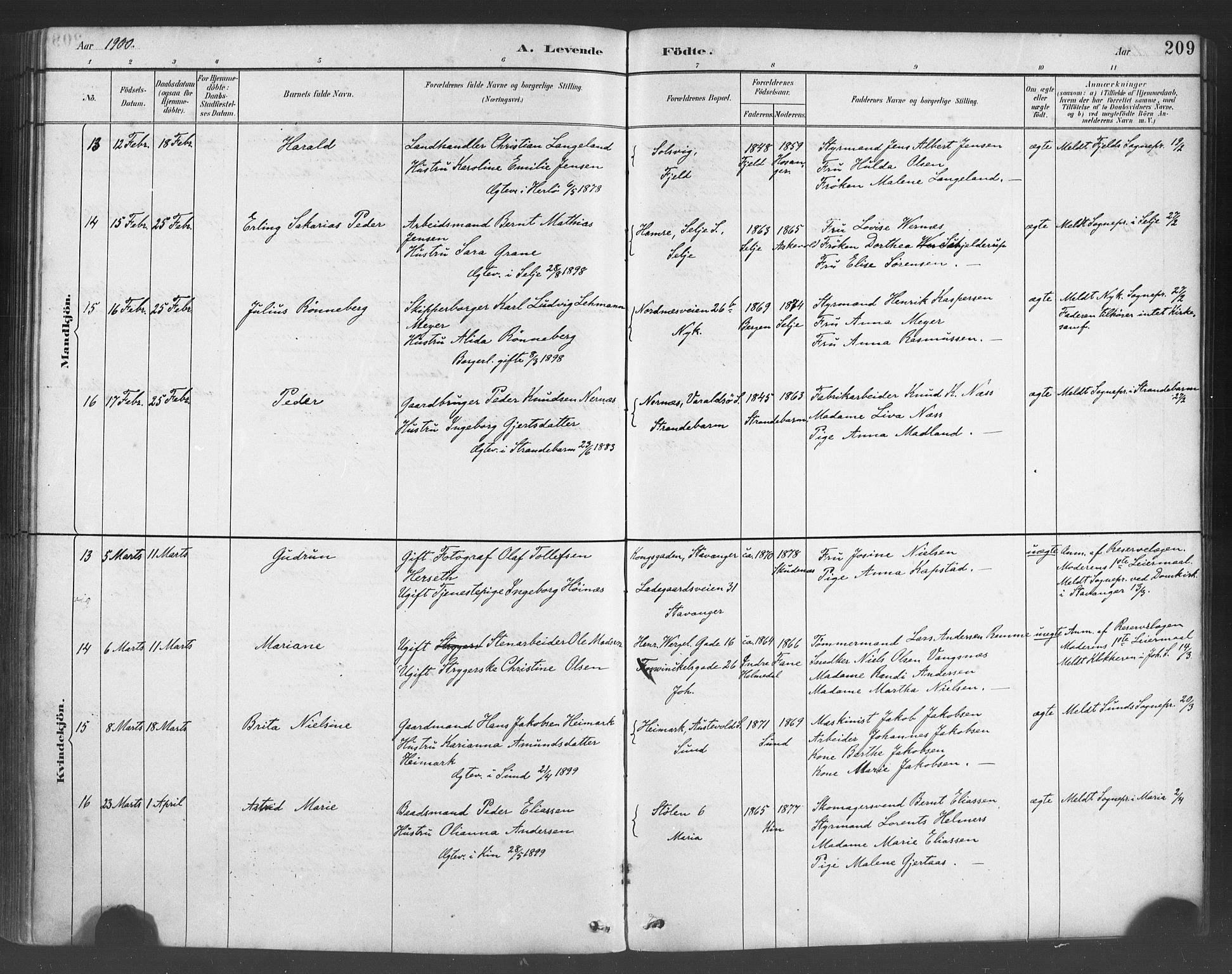 Fødselsstiftelsens sokneprestembete*, SAB/-: Parish register (official) no. A 2, 1884-1900, p. 209