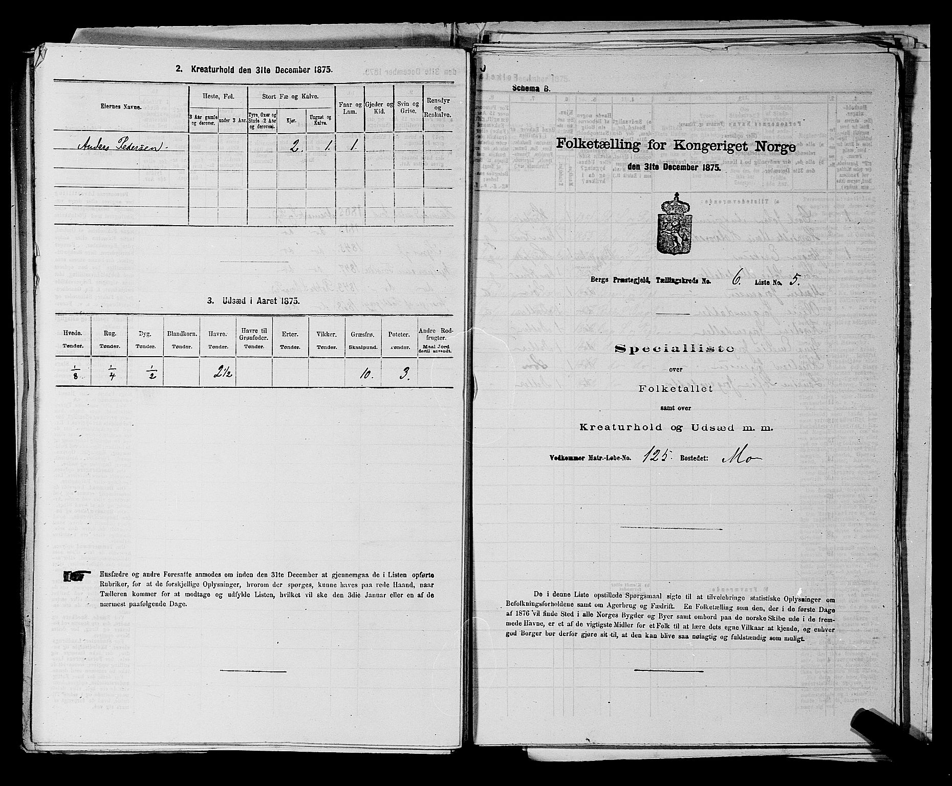 RA, 1875 census for 0116P Berg, 1875, p. 993