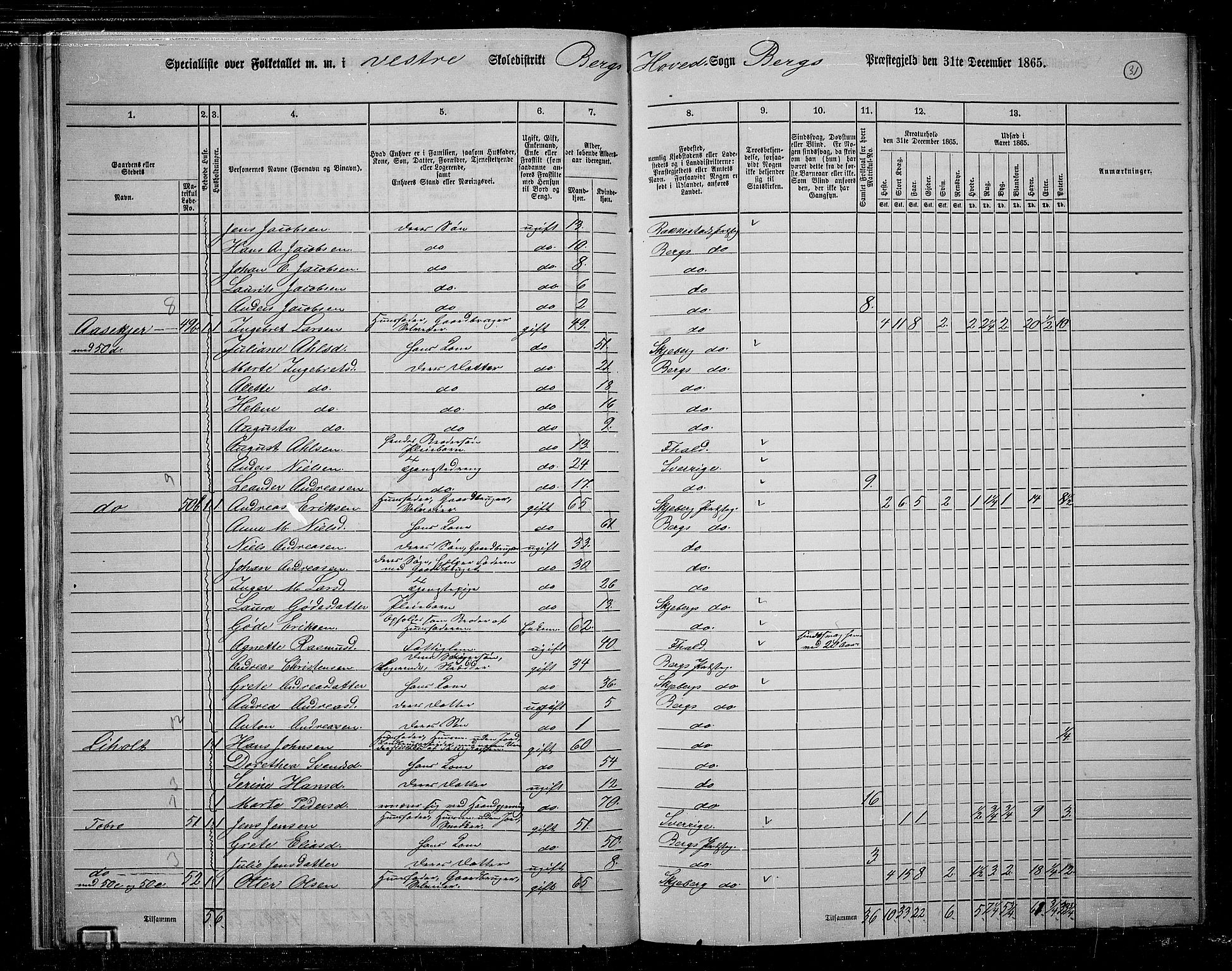 RA, 1865 census for Berg, 1865, p. 31