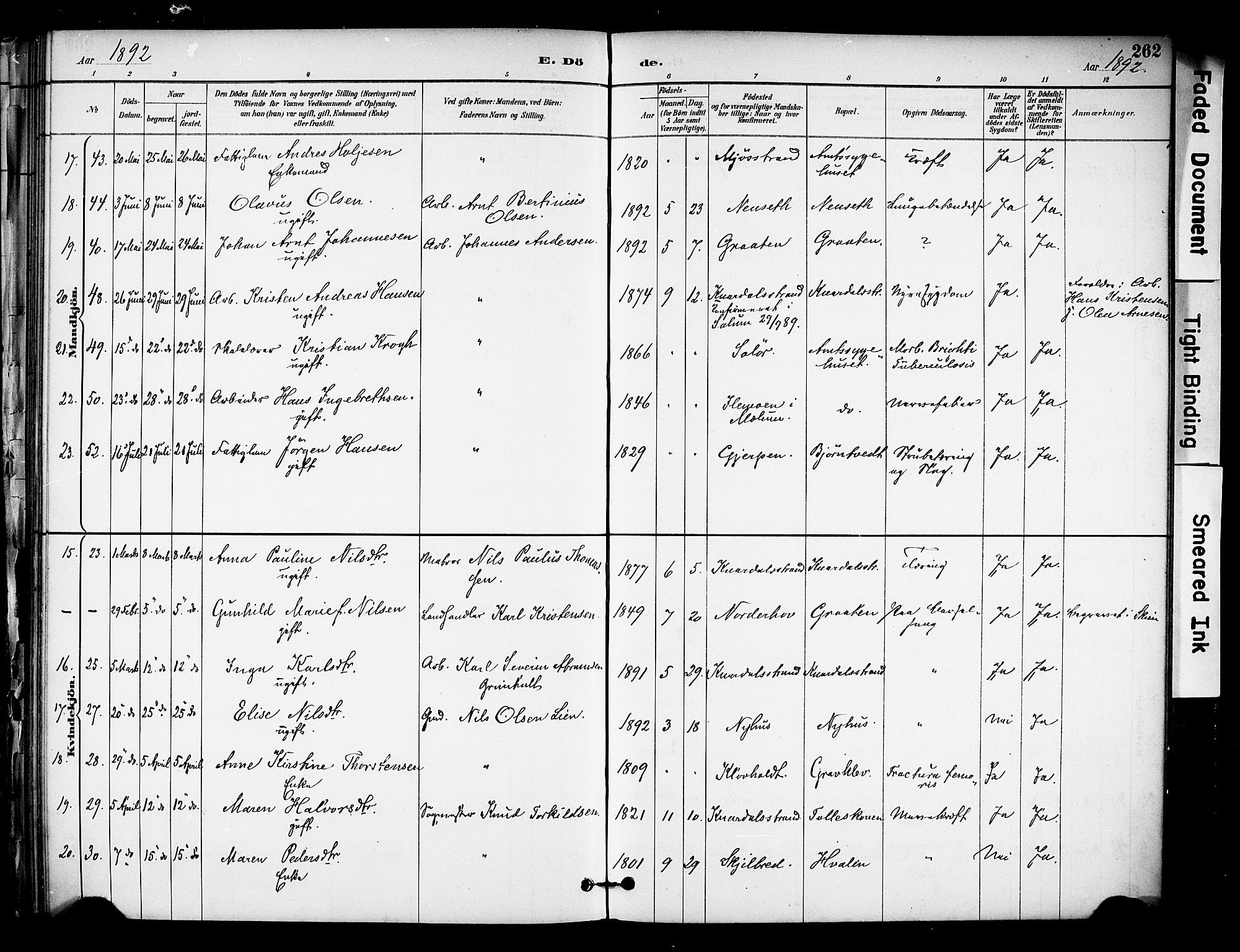 Solum kirkebøker, AV/SAKO-A-306/F/Fa/L0010: Parish register (official) no. I 10, 1888-1898, p. 262