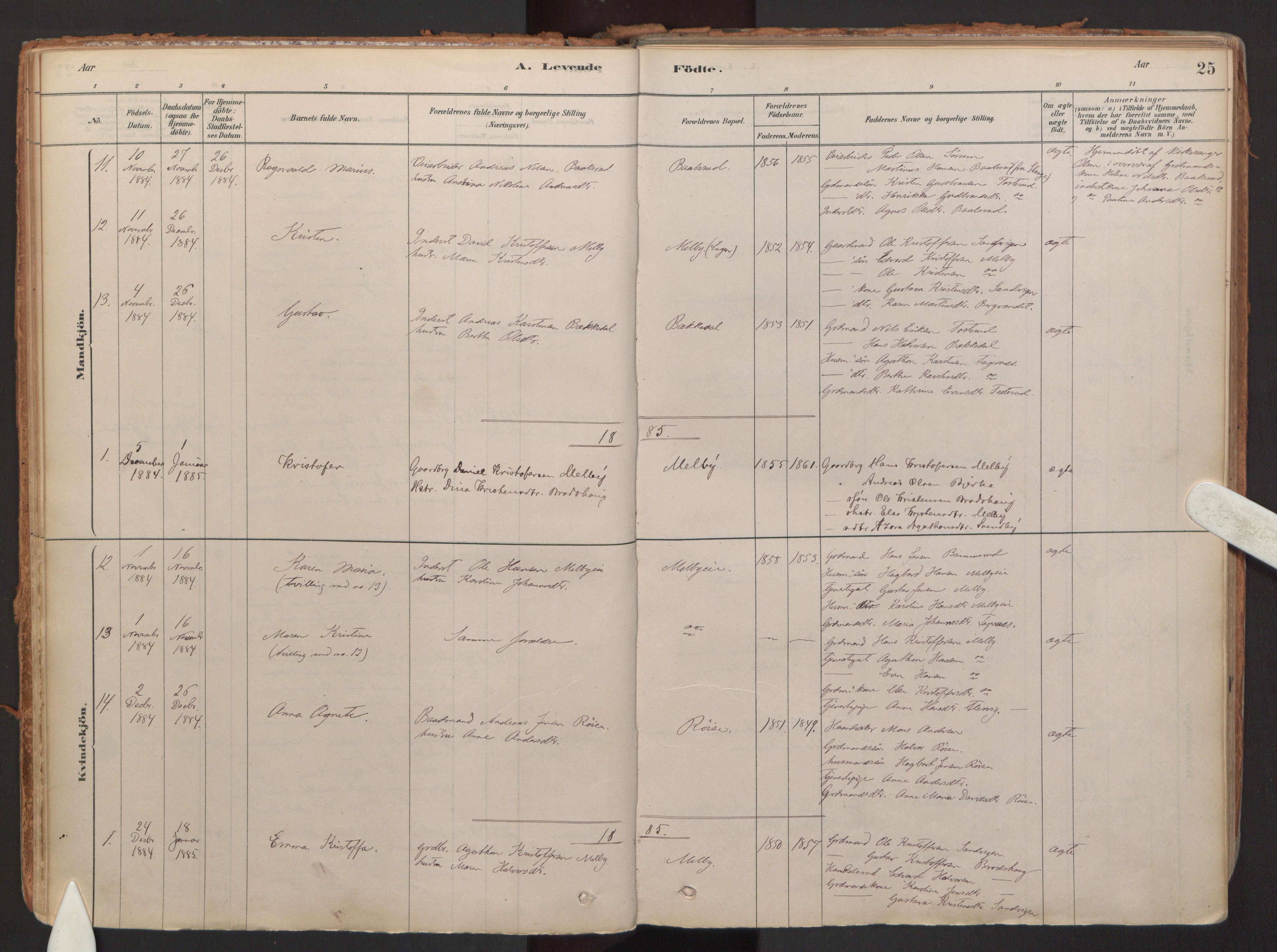 Hurdal prestekontor Kirkebøker, SAO/A-10889/F/Fb/L0003: Parish register (official) no. II 3, 1878-1920, p. 25