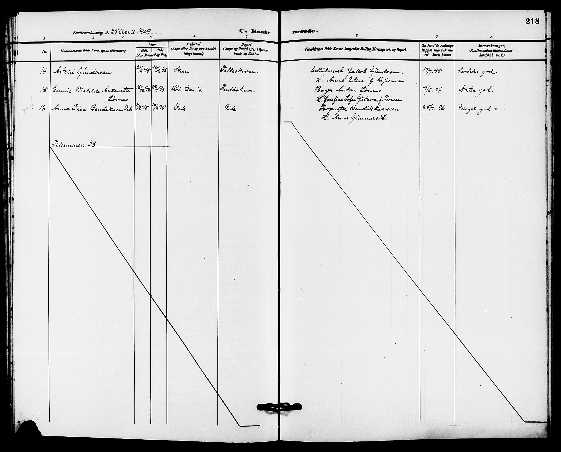 Solum kirkebøker, AV/SAKO-A-306/G/Ga/L0008: Parish register (copy) no. I 8, 1898-1909, p. 218