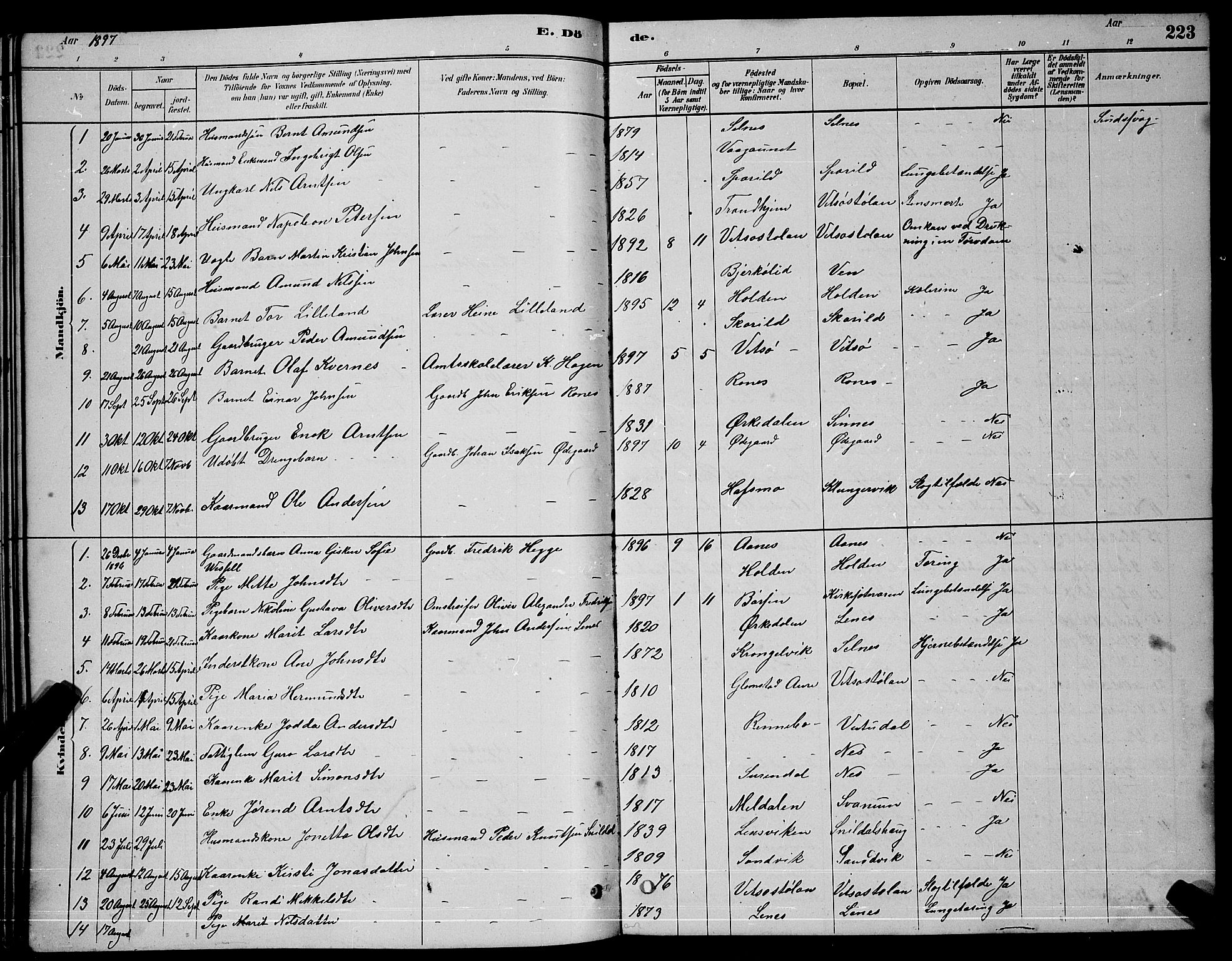 Ministerialprotokoller, klokkerbøker og fødselsregistre - Sør-Trøndelag, SAT/A-1456/630/L0504: Parish register (copy) no. 630C02, 1879-1898, p. 223
