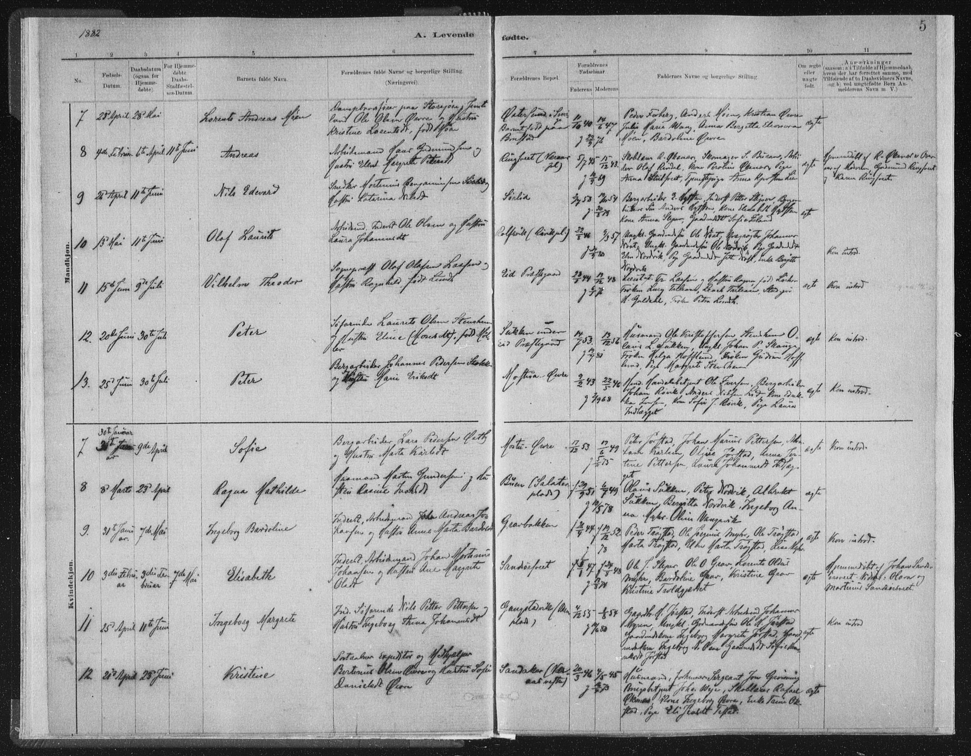 Ministerialprotokoller, klokkerbøker og fødselsregistre - Nord-Trøndelag, SAT/A-1458/722/L0220: Parish register (official) no. 722A07, 1881-1908, p. 5