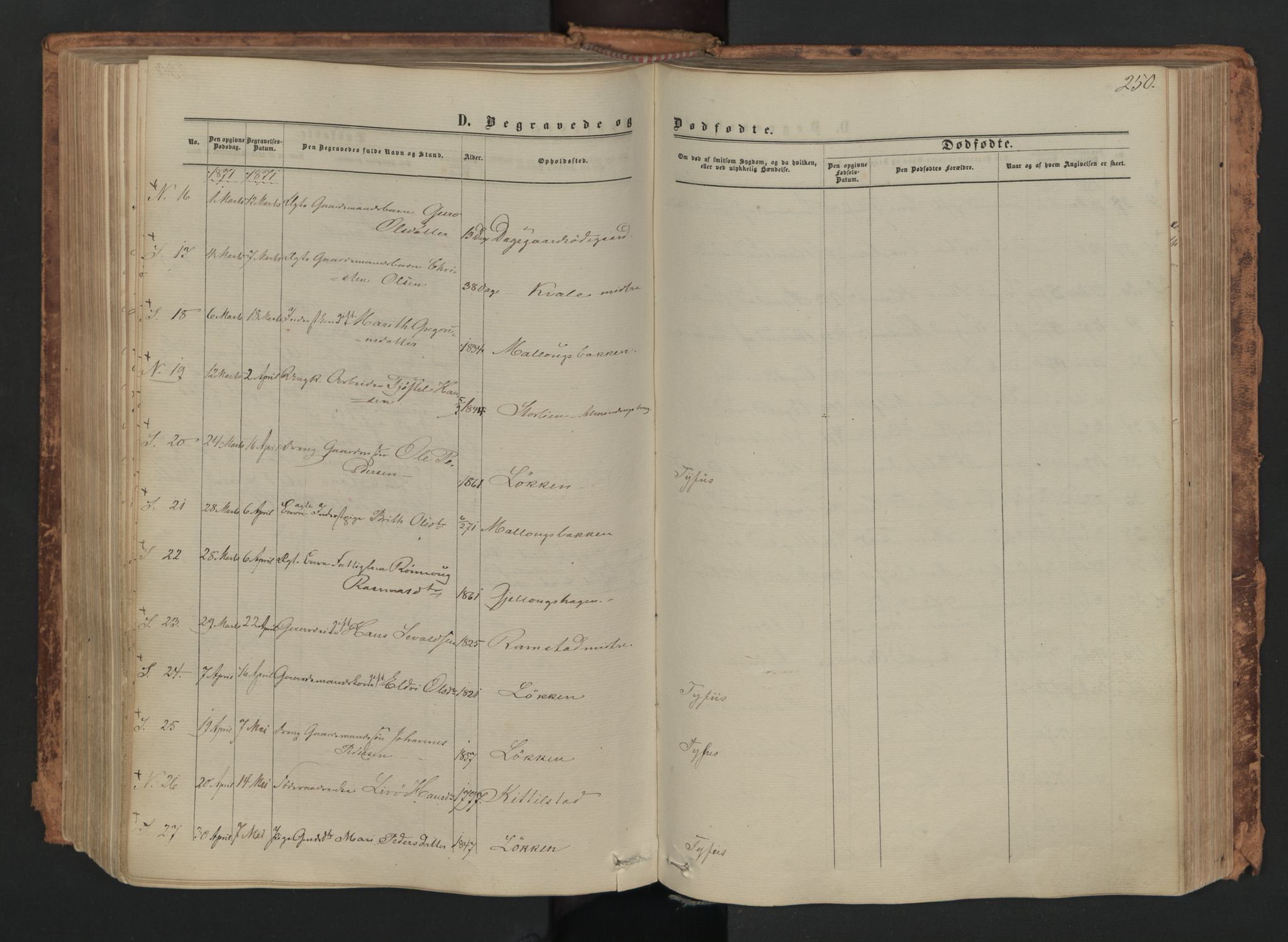 Skjåk prestekontor, SAH/PREST-072/H/Ha/Haa/L0001: Parish register (official) no. 1, 1863-1879, p. 250