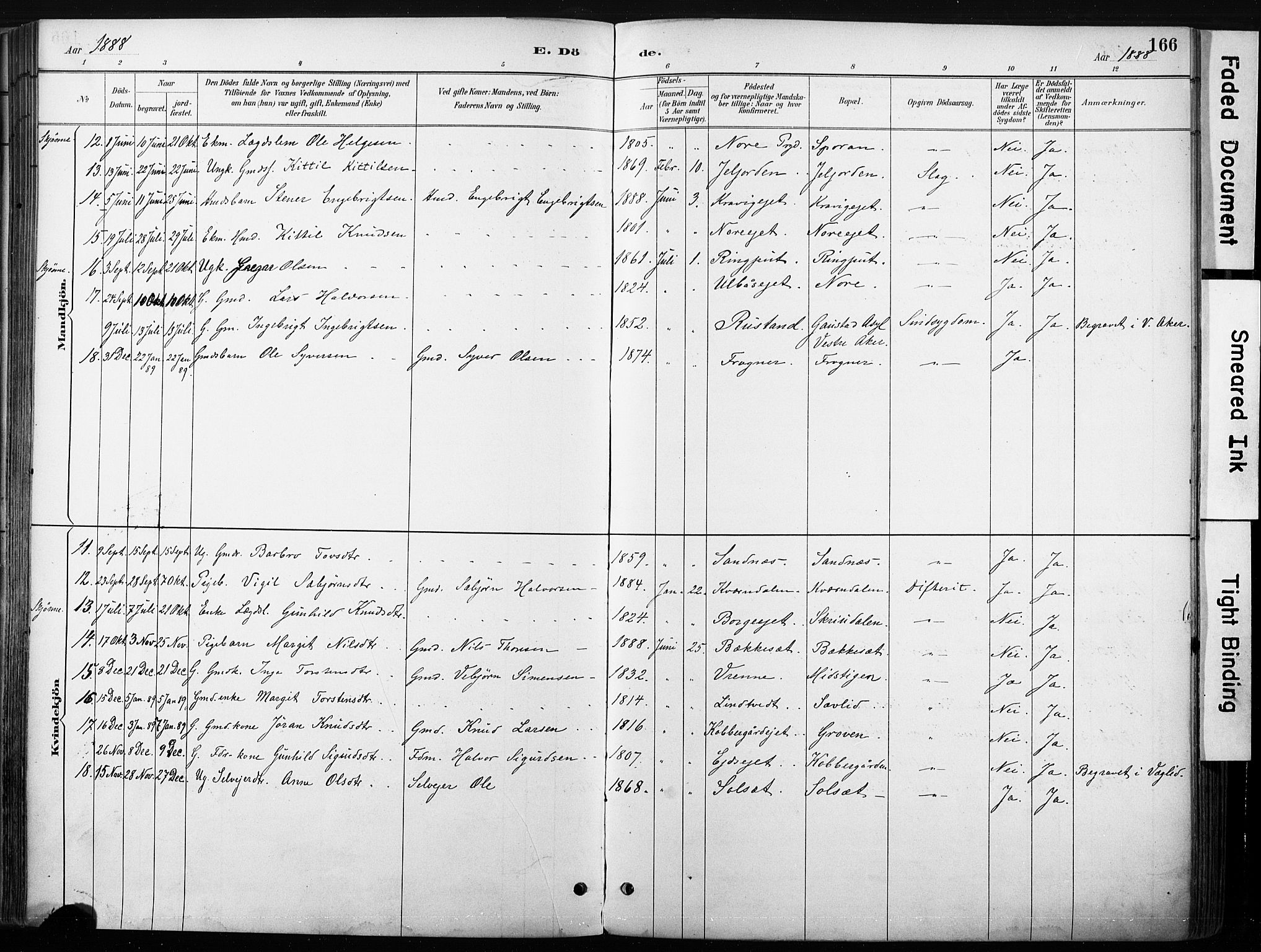 Nore kirkebøker, SAKO/A-238/F/Fb/L0002: Parish register (official) no. II 2, 1886-1906, p. 166