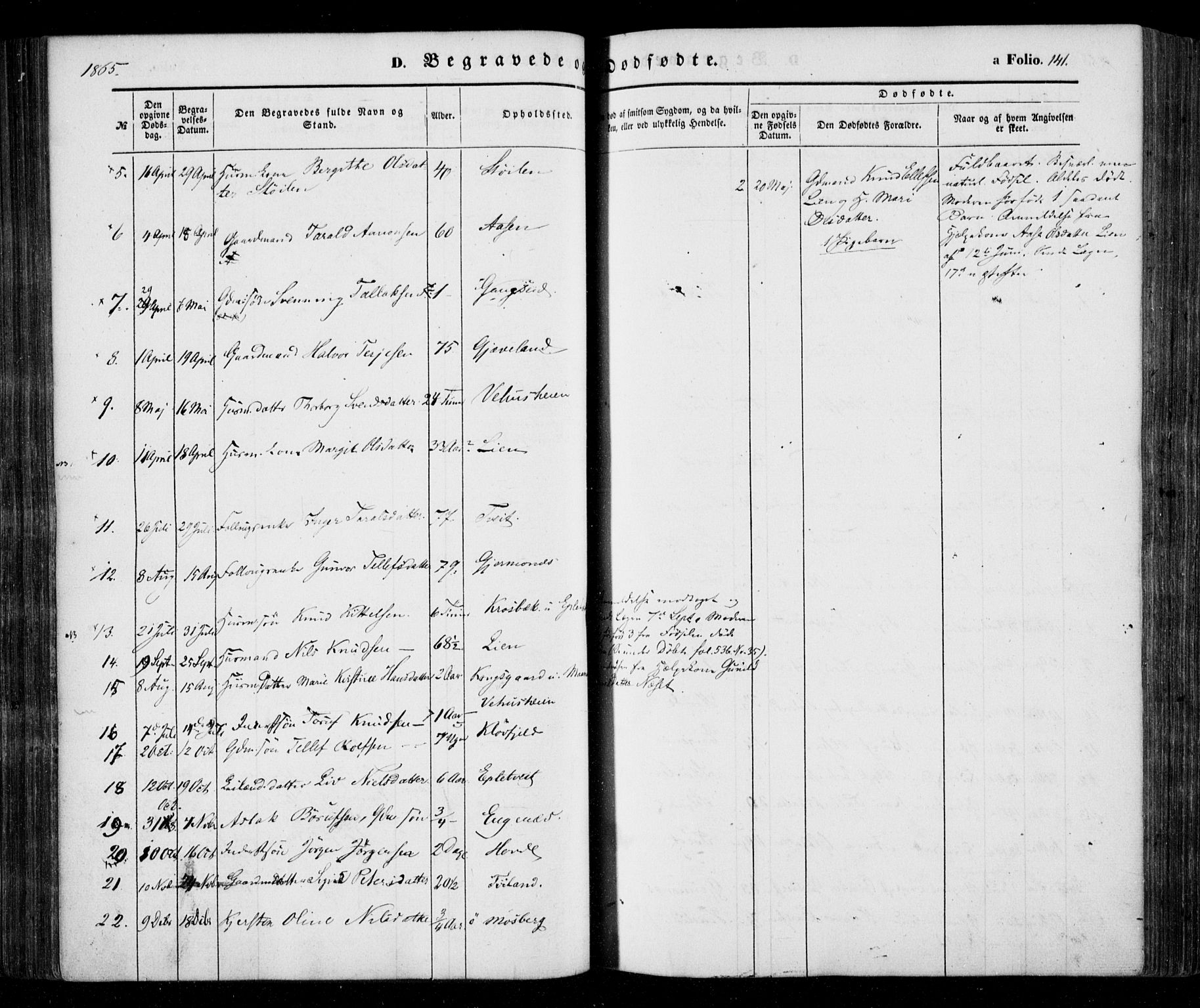 Åmli sokneprestkontor, SAK/1111-0050/F/Fa/Fac/L0008: Parish register (official) no. A 8, 1852-1869, p. 141