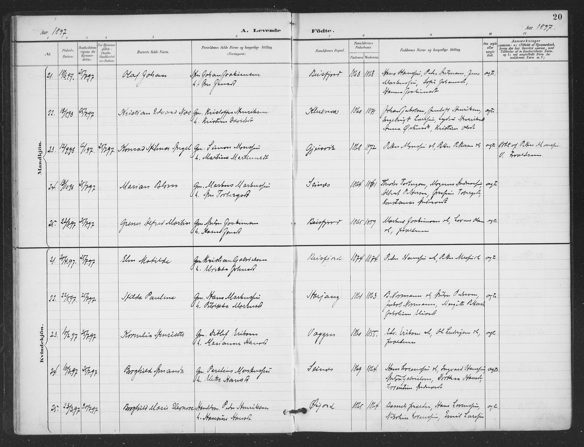 Ministerialprotokoller, klokkerbøker og fødselsregistre - Nordland, AV/SAT-A-1459/866/L0939: Parish register (official) no. 866A02, 1894-1906, p. 20