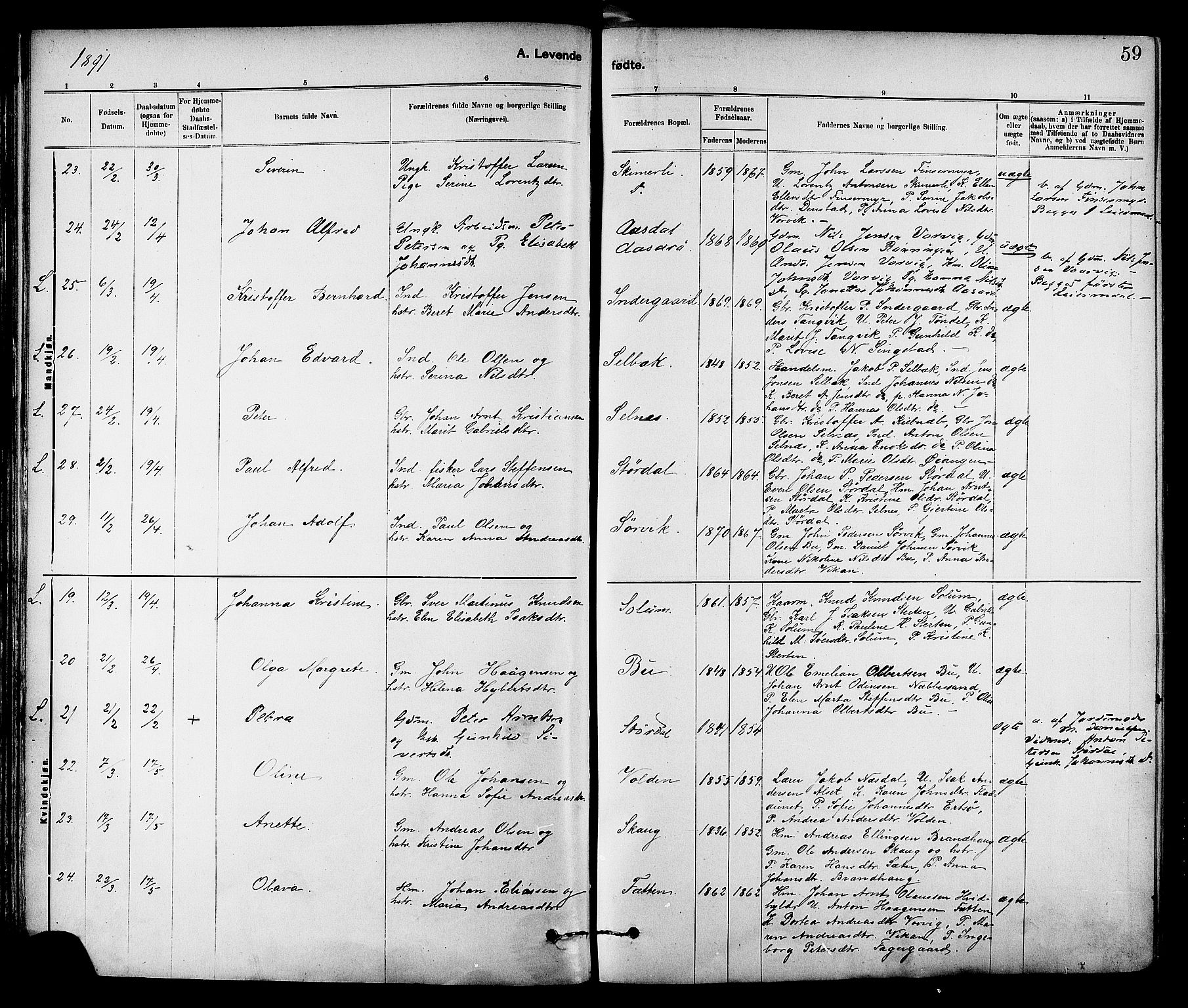 Ministerialprotokoller, klokkerbøker og fødselsregistre - Sør-Trøndelag, AV/SAT-A-1456/647/L0634: Parish register (official) no. 647A01, 1885-1896, p. 59