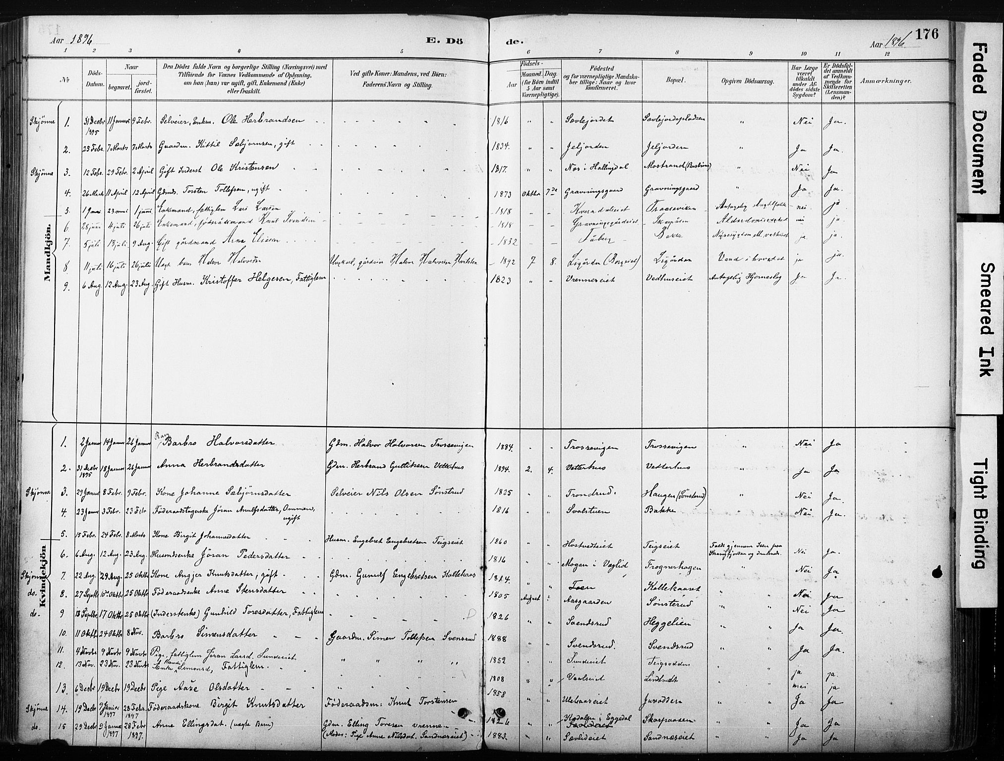 Nore kirkebøker, SAKO/A-238/F/Fb/L0002: Parish register (official) no. II 2, 1886-1906, p. 176