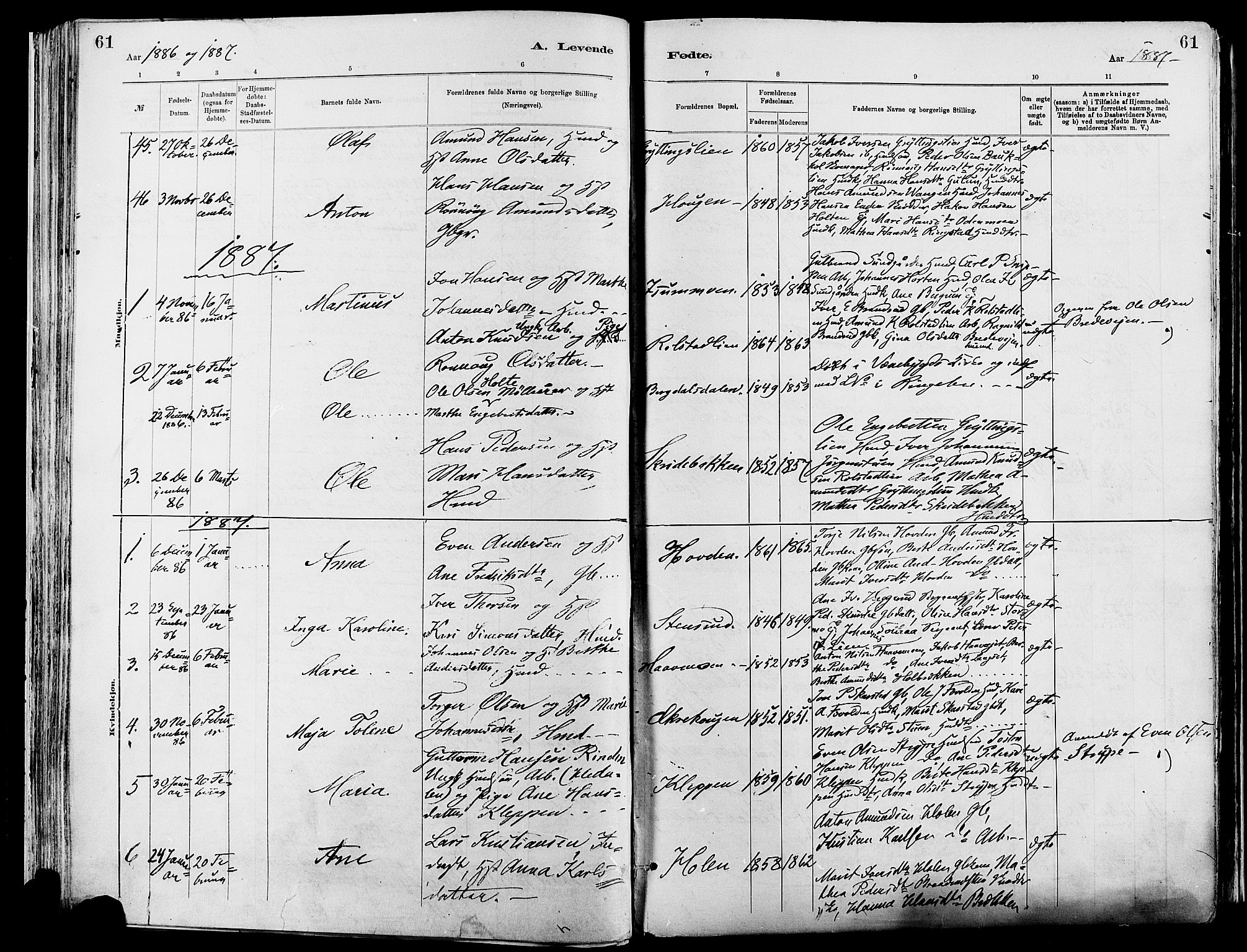 Sør-Fron prestekontor, SAH/PREST-010/H/Ha/Haa/L0003: Parish register (official) no. 3, 1881-1897, p. 61