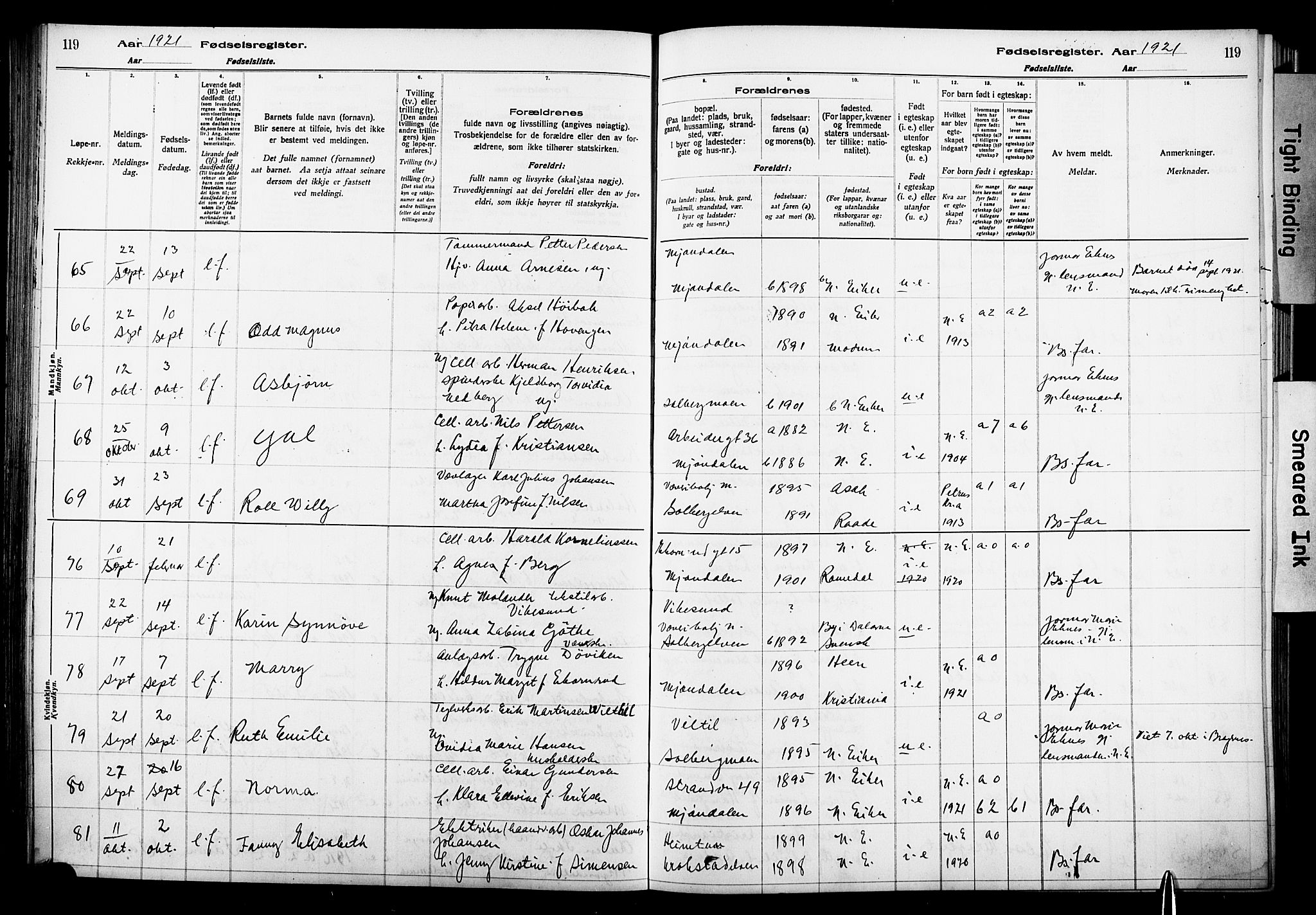 Nedre Eiker kirkebøker, AV/SAKO-A-612/J/Ja/L0001: Birth register no. 1, 1916-1925, p. 119