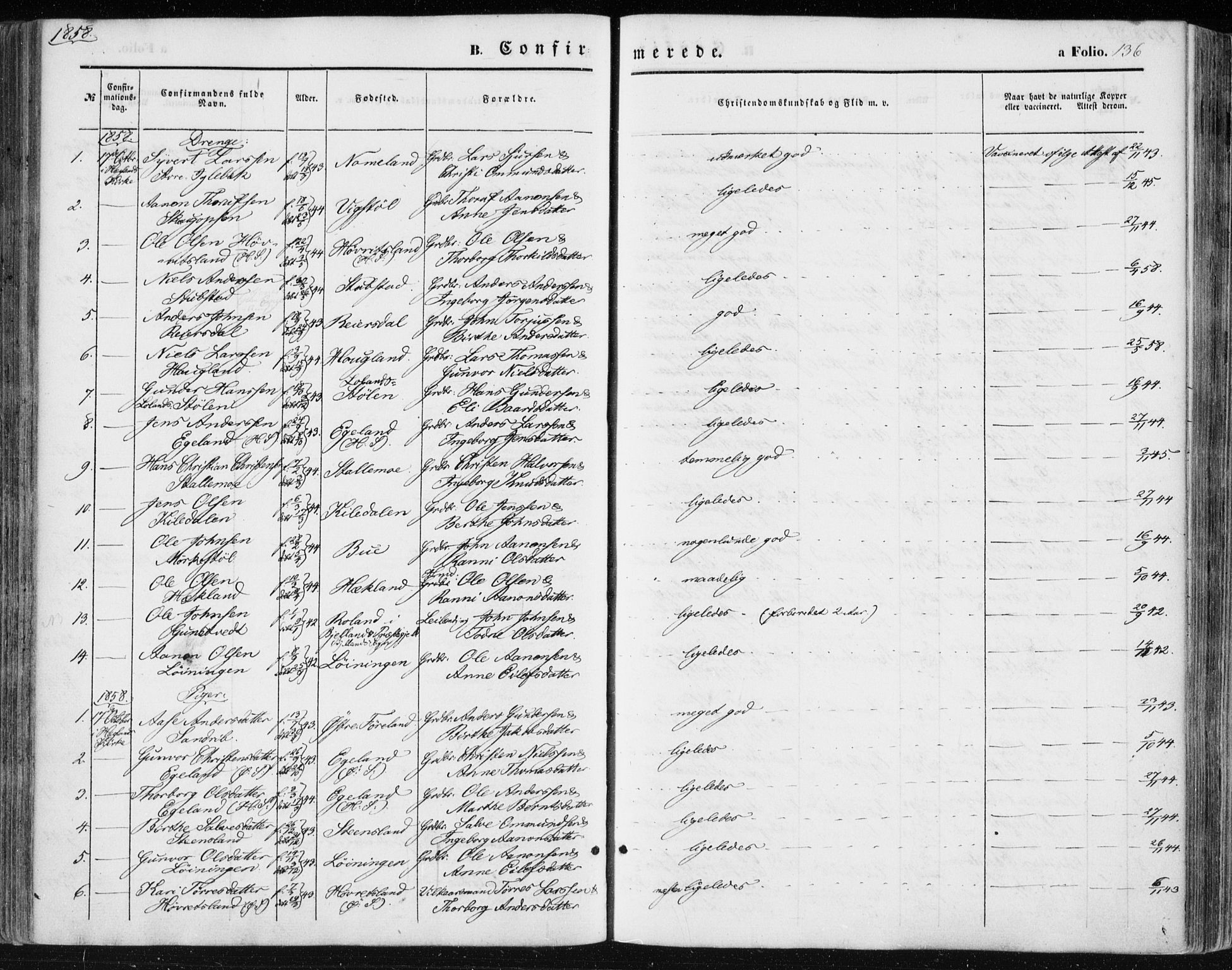 Vennesla sokneprestkontor, AV/SAK-1111-0045/Fa/Fac/L0007: Parish register (official) no. A 7, 1855-1873, p. 136