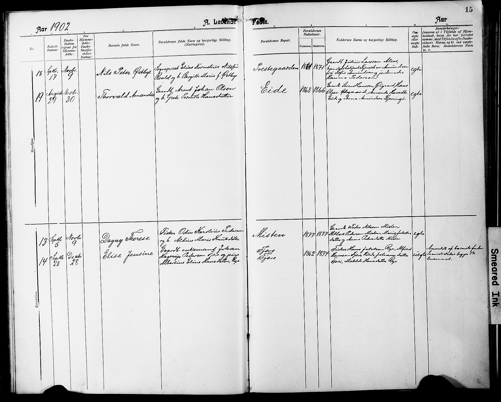 Ministerialprotokoller, klokkerbøker og fødselsregistre - Nordland, AV/SAT-A-1459/803/L0077: Parish register (copy) no. 803C04, 1897-1930, p. 15