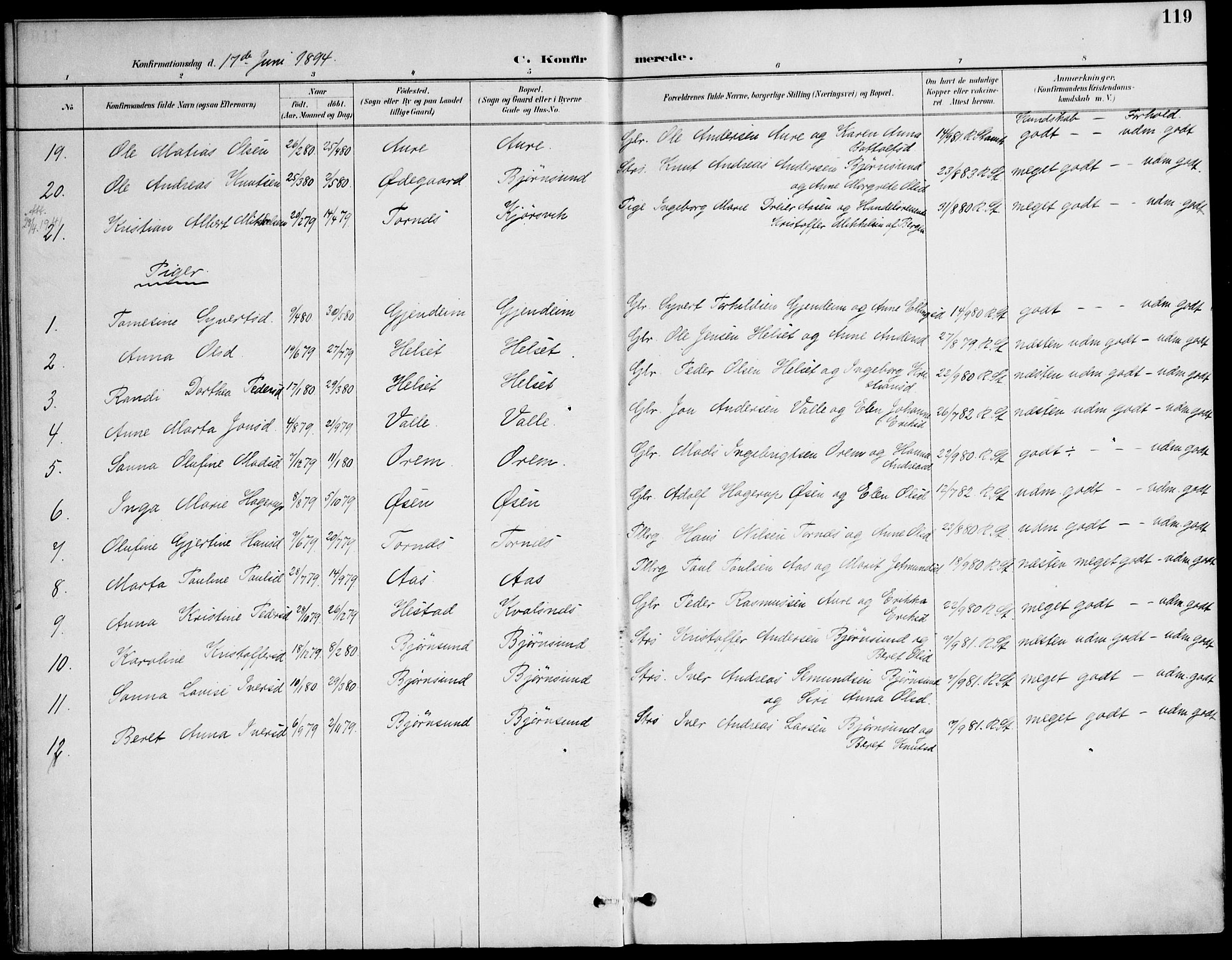 Ministerialprotokoller, klokkerbøker og fødselsregistre - Møre og Romsdal, AV/SAT-A-1454/565/L0750: Parish register (official) no. 565A04, 1887-1905, p. 119