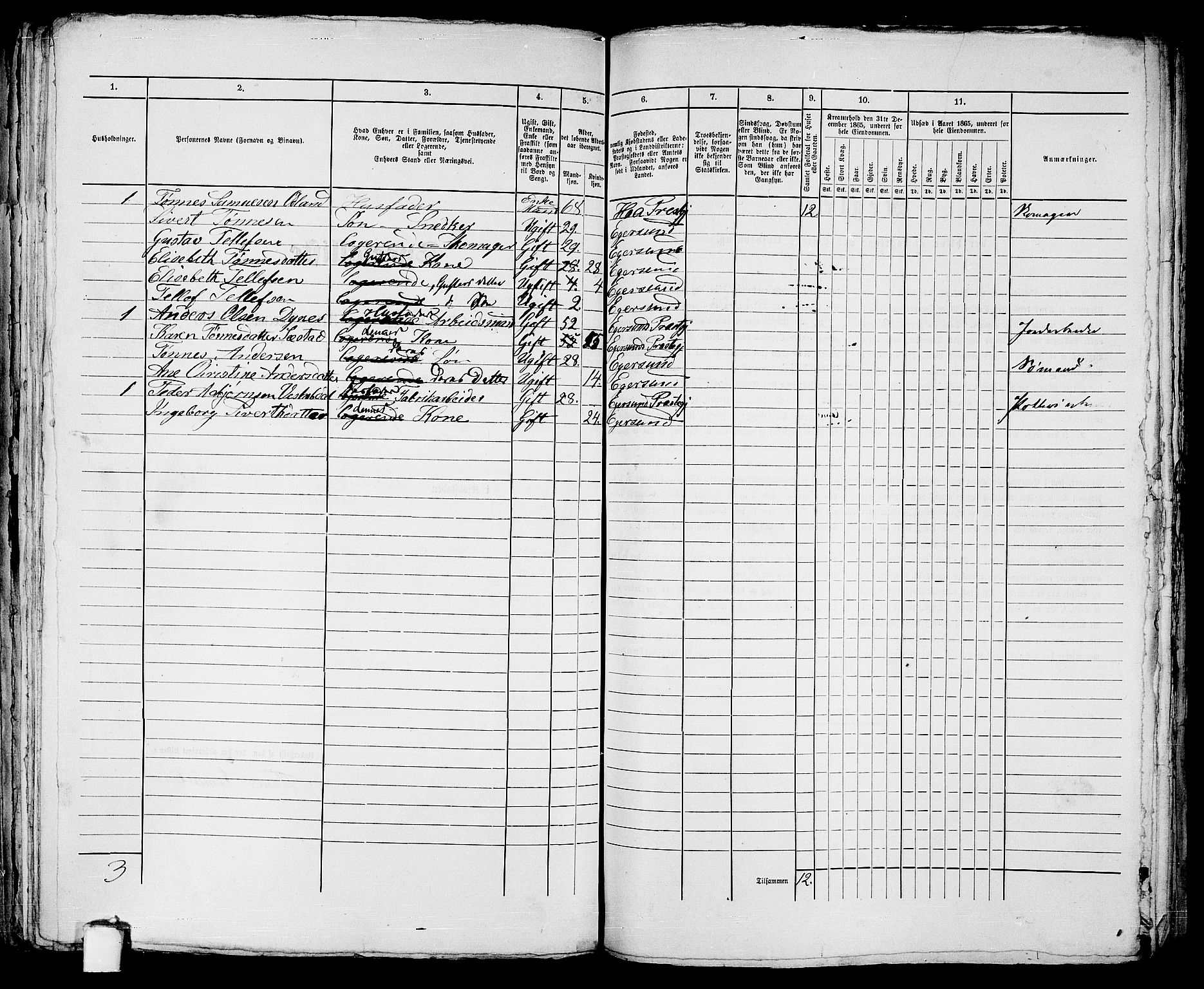 RA, 1865 census for Eigersund parish, Egersund town, 1865, p. 268