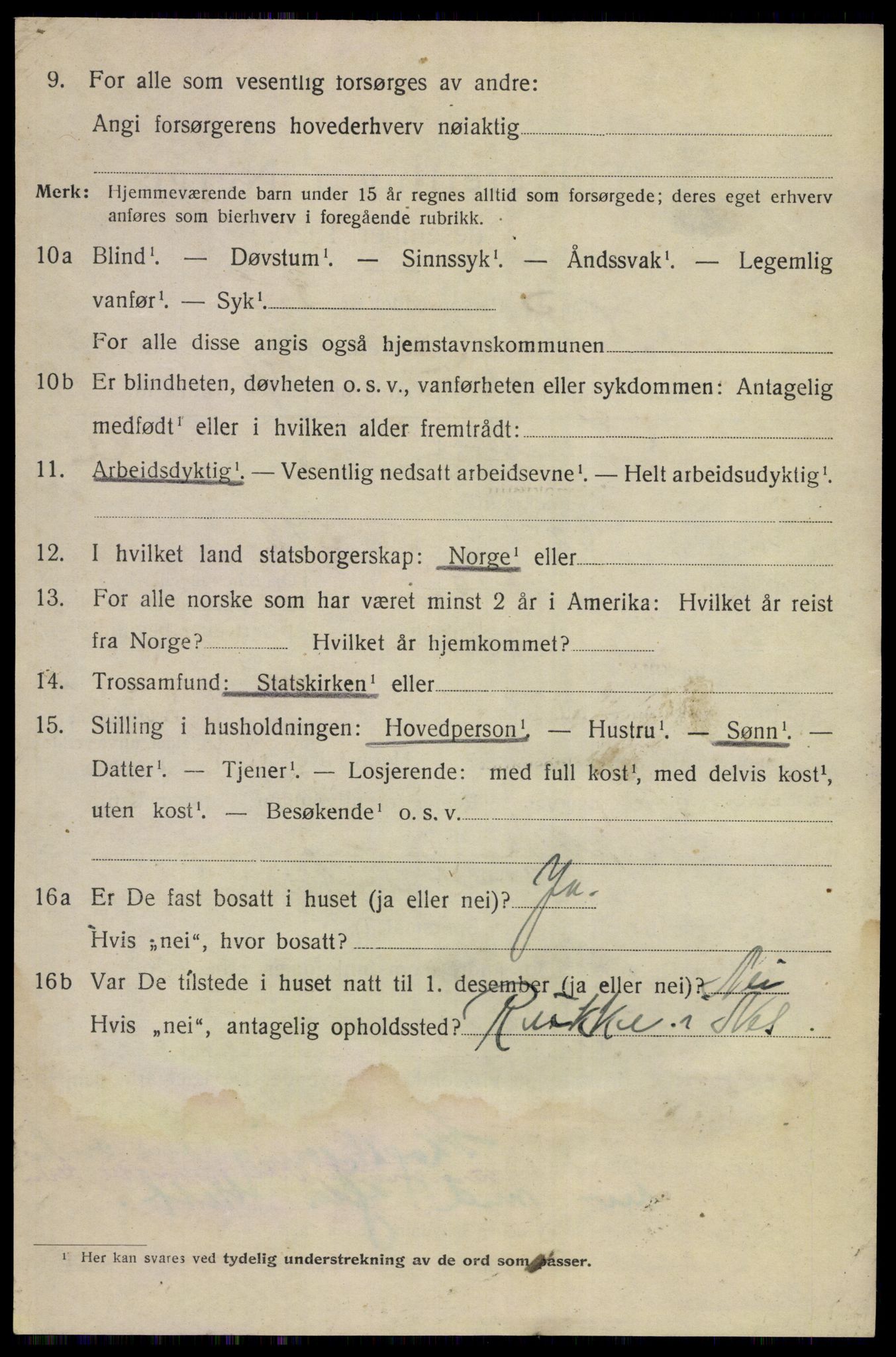 SAKO, 1920 census for Nes (Buskerud), 1920, p. 4335