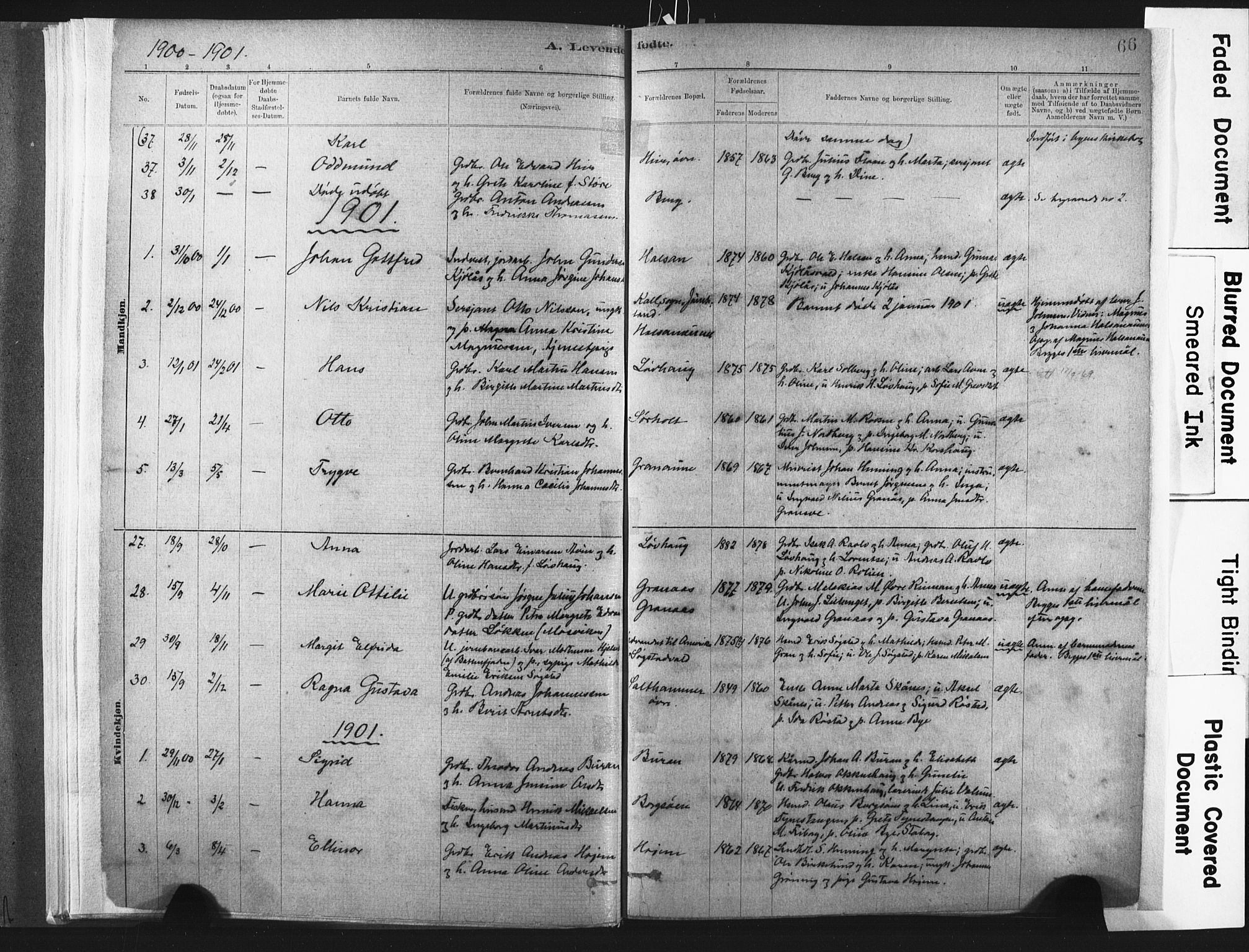 Ministerialprotokoller, klokkerbøker og fødselsregistre - Nord-Trøndelag, SAT/A-1458/721/L0207: Parish register (official) no. 721A02, 1880-1911, p. 66