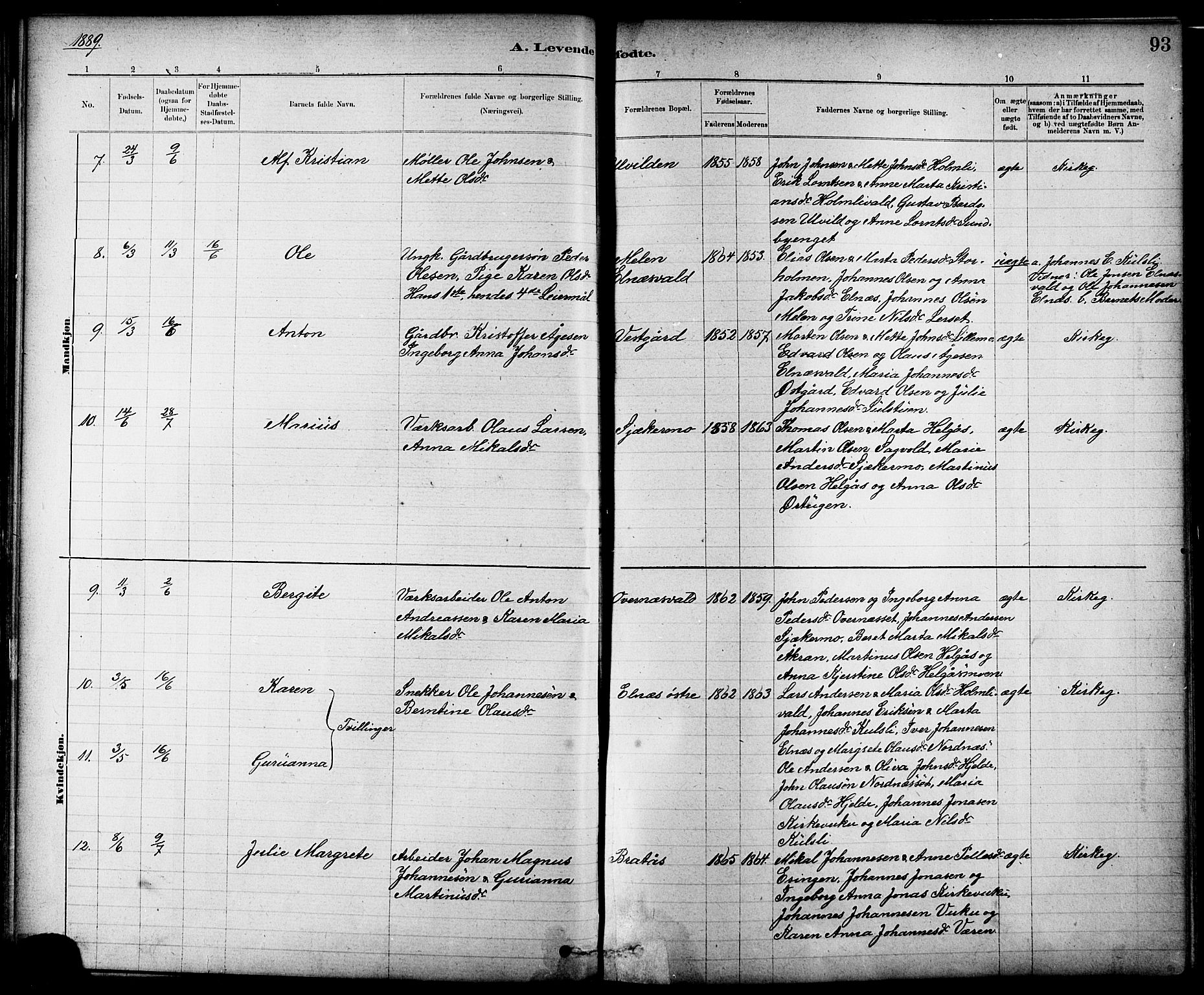 Ministerialprotokoller, klokkerbøker og fødselsregistre - Nord-Trøndelag, AV/SAT-A-1458/724/L0267: Parish register (copy) no. 724C03, 1879-1898, p. 93