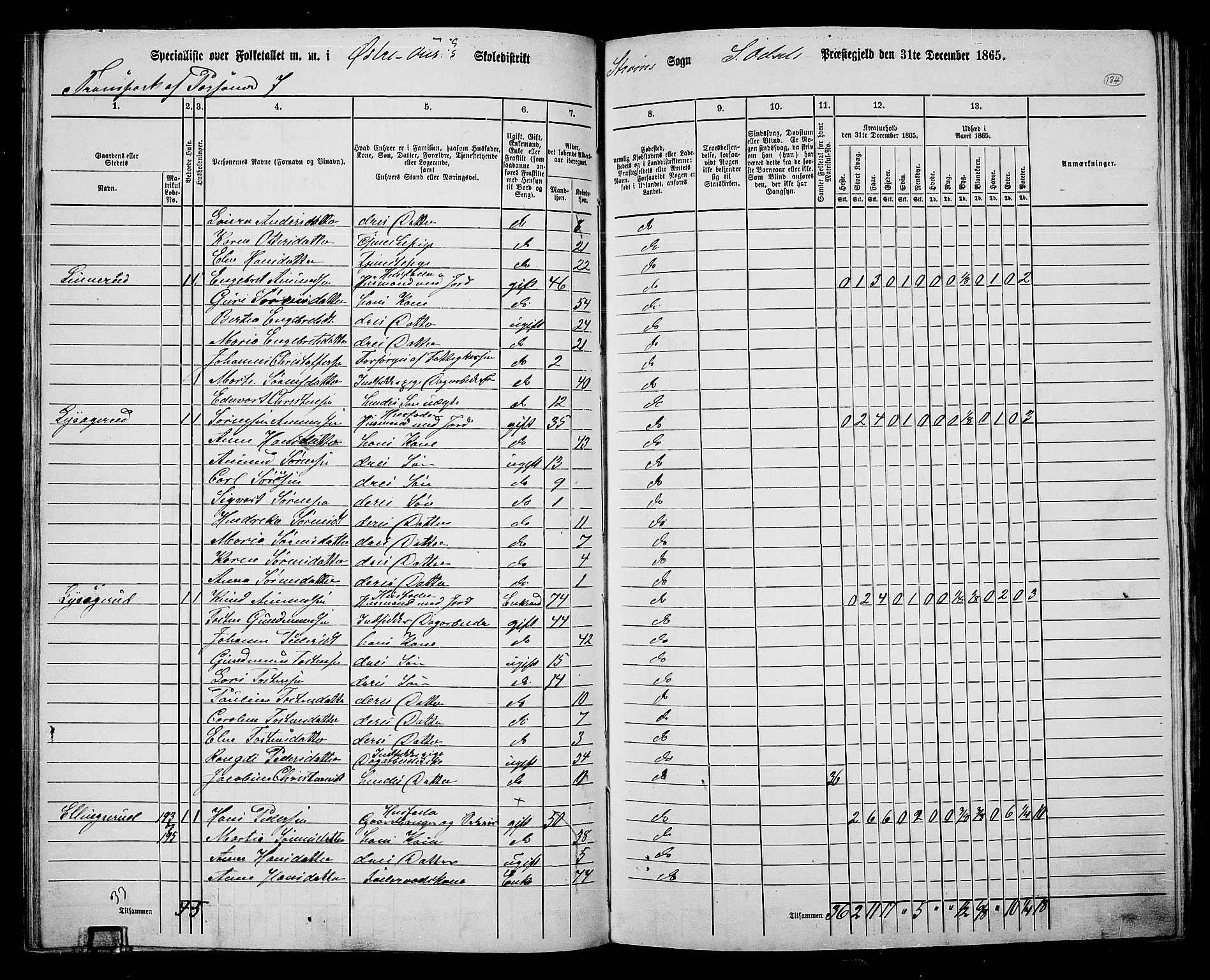 RA, 1865 census for Sør-Odal, 1865, p. 119