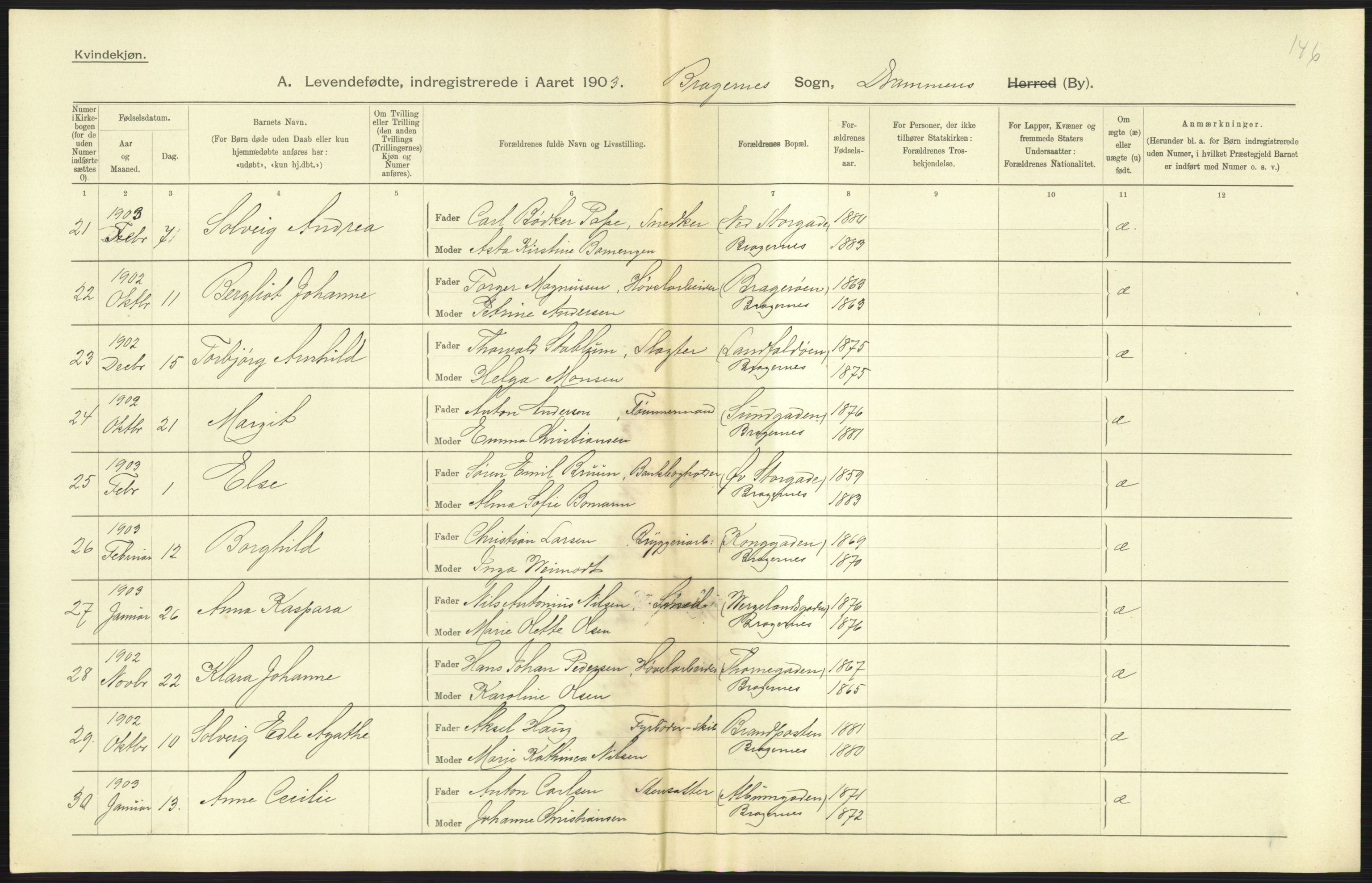 Statistisk sentralbyrå, Sosiodemografiske emner, Befolkning, AV/RA-S-2228/D/Df/Dfa/Dfaa/L0007: Buskeruds amt: Fødte, gifte, døde, 1903, p. 295