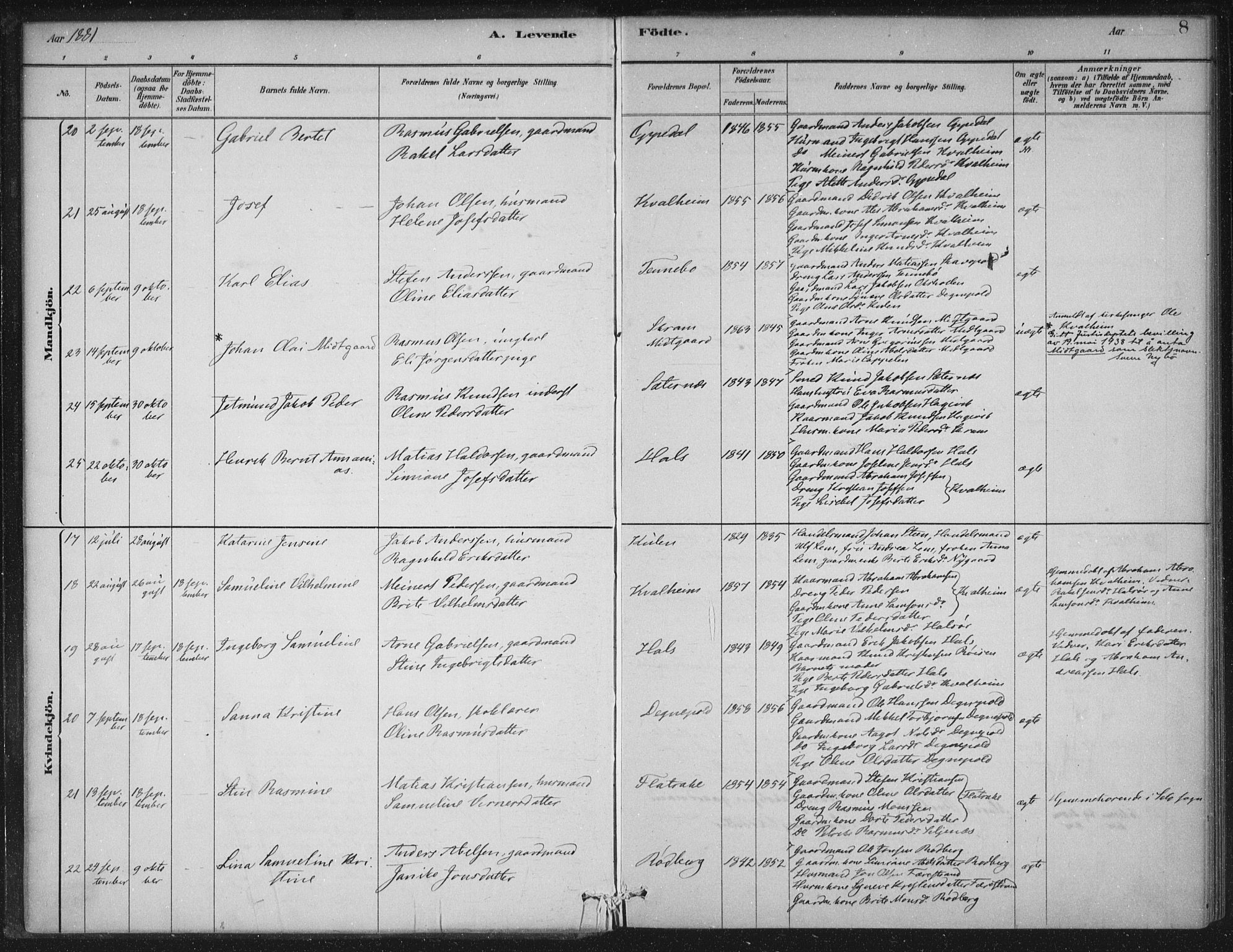 Selje sokneprestembete, SAB/A-99938/H/Ha/Haa/Haac/L0001: Parish register (official) no. C  1, 1881-1888, p. 8