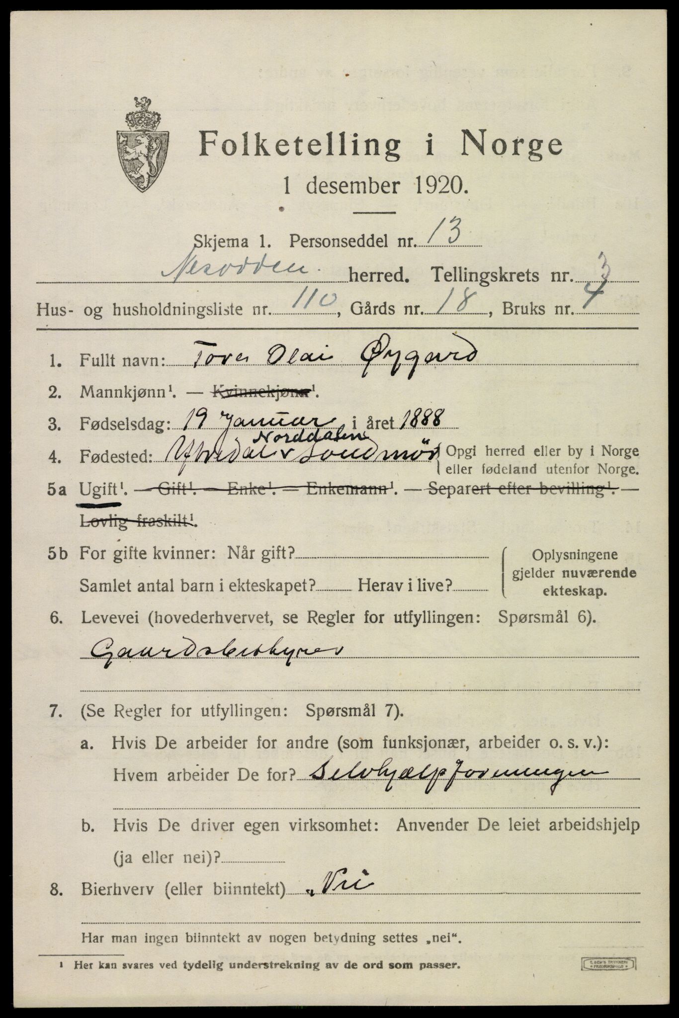 SAO, 1920 census for Nesodden, 1920, p. 3763