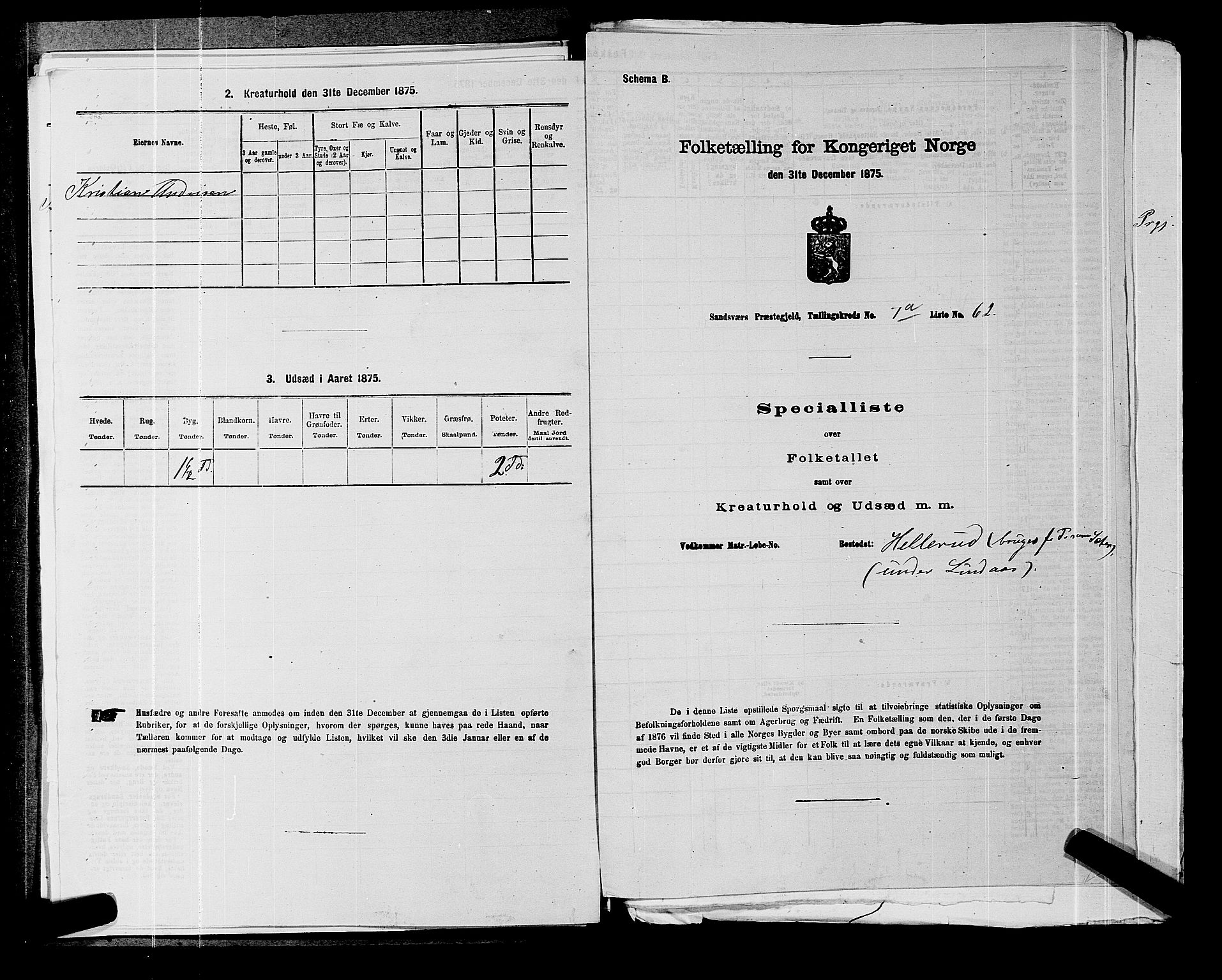 SAKO, 1875 census for 0629P Sandsvær, 1875, p. 1425