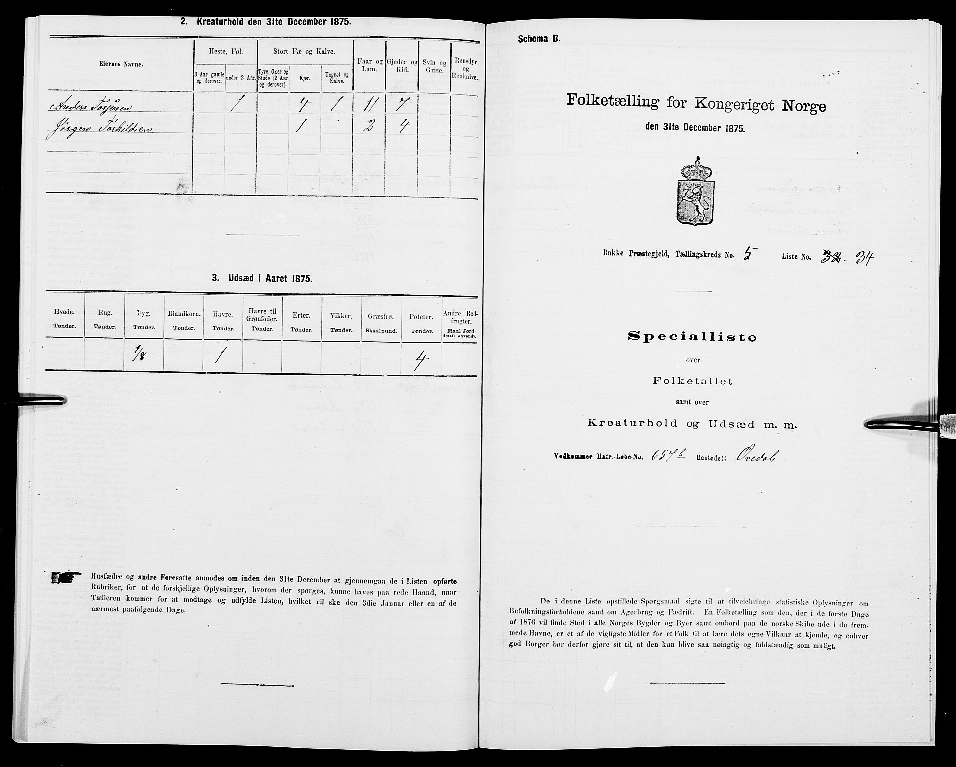 SAK, 1875 census for 1045P Bakke, 1875, p. 553