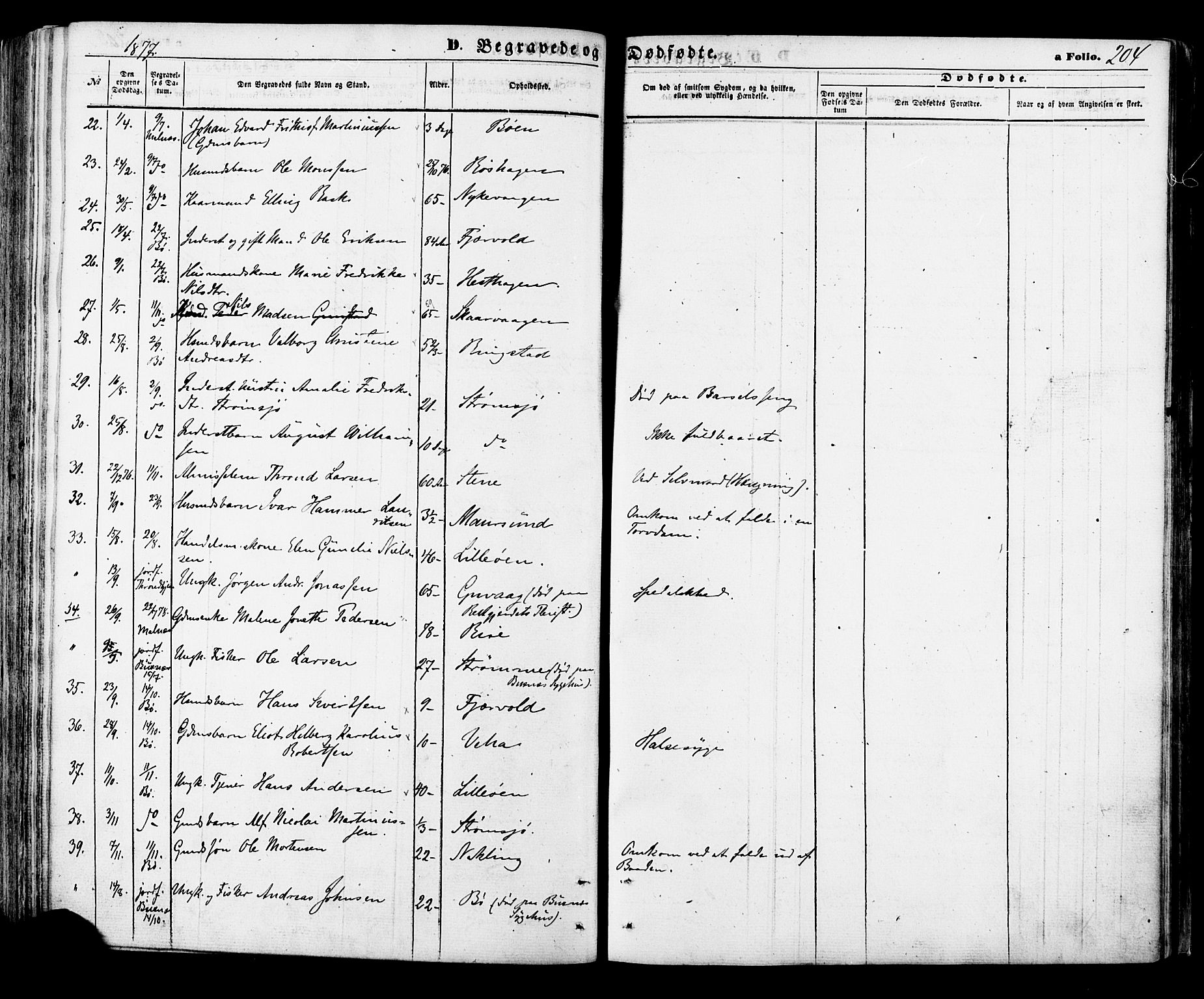 Ministerialprotokoller, klokkerbøker og fødselsregistre - Nordland, AV/SAT-A-1459/891/L1301: Parish register (official) no. 891A06, 1870-1878, p. 204