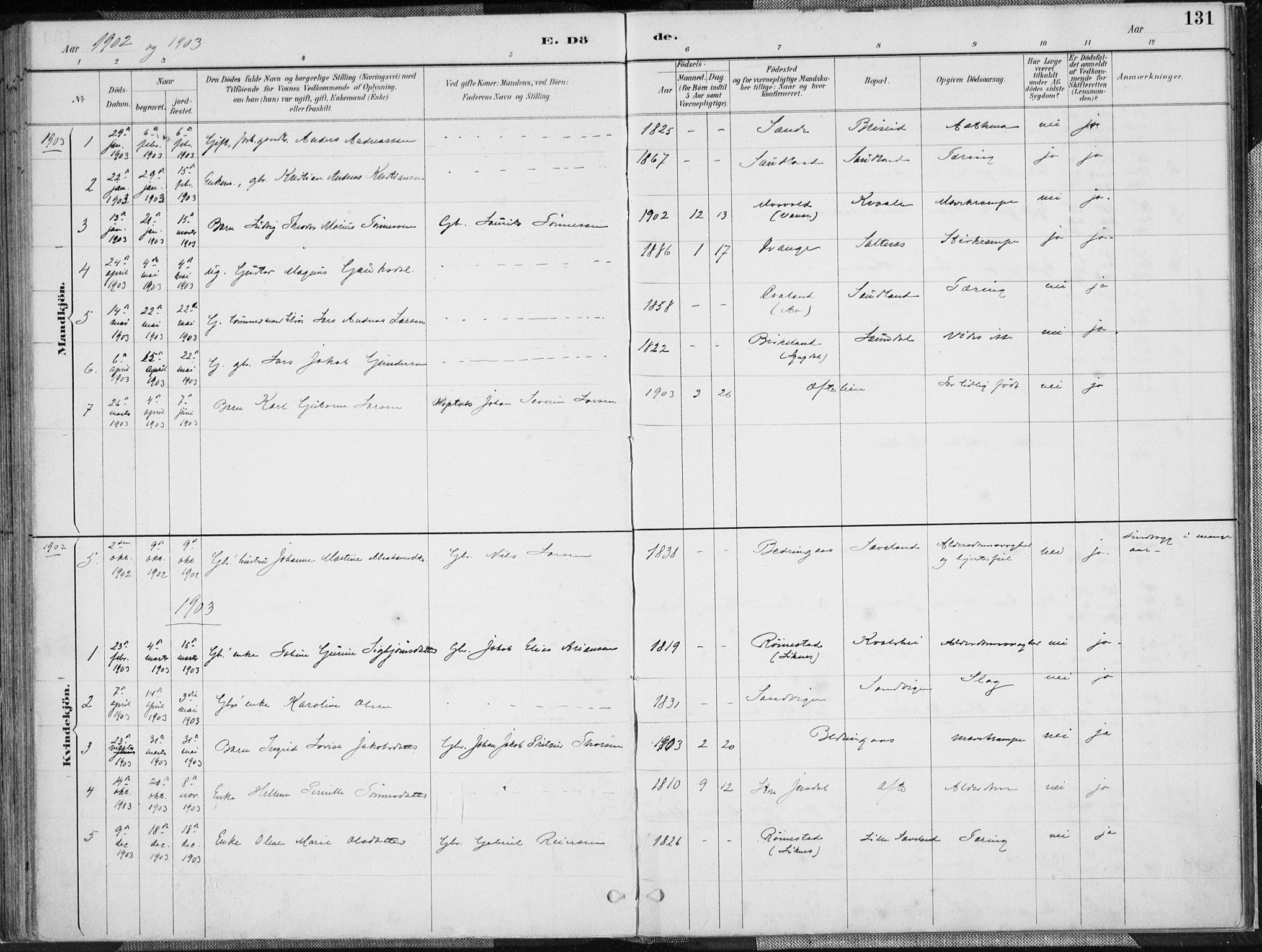 Herad sokneprestkontor, SAK/1111-0018/F/Fa/Faa/L0006: Parish register (official) no. A 6, 1887-1907, p. 131