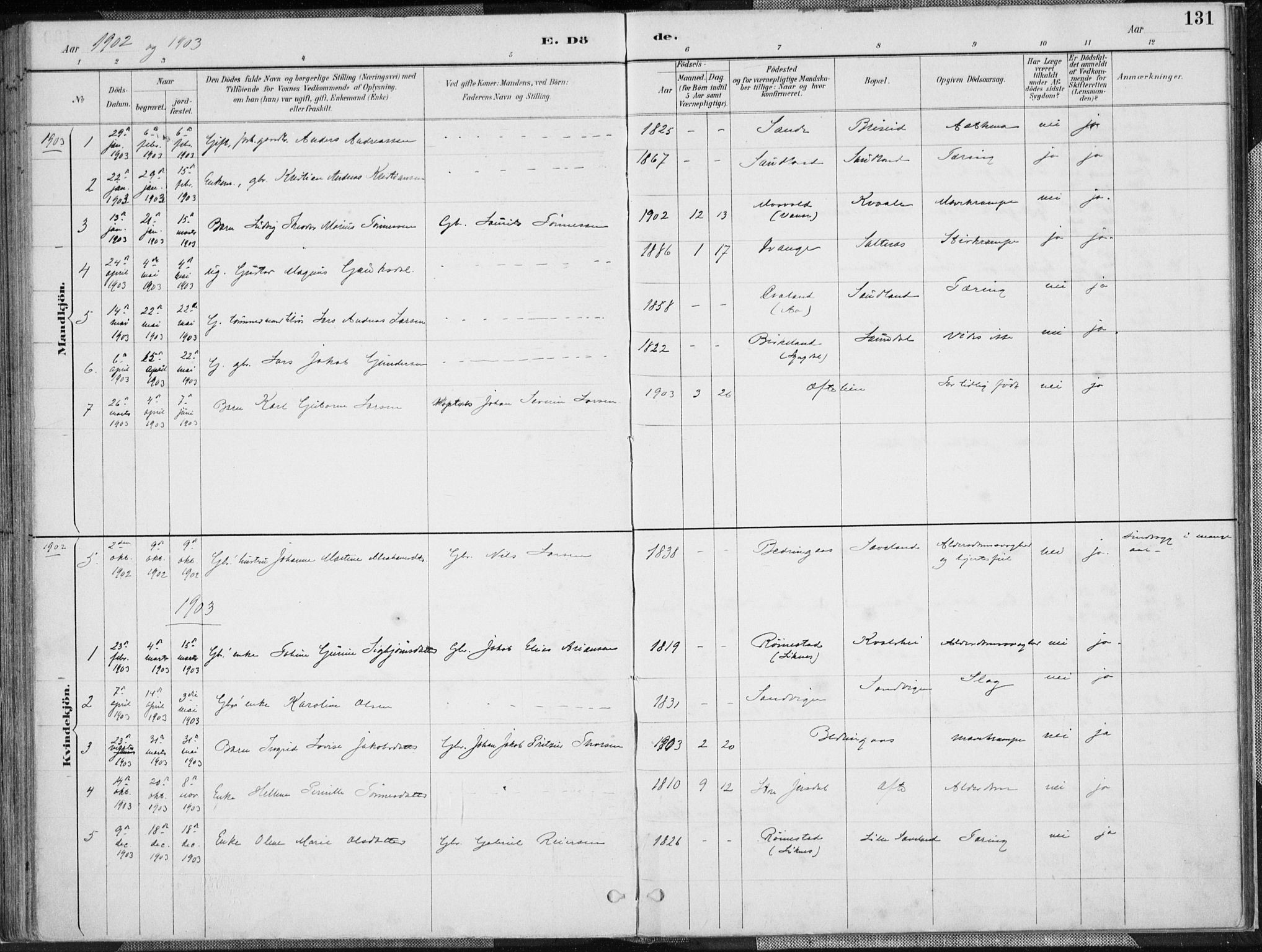 Herad sokneprestkontor, AV/SAK-1111-0018/F/Fa/Faa/L0006: Parish register (official) no. A 6, 1887-1907, p. 131