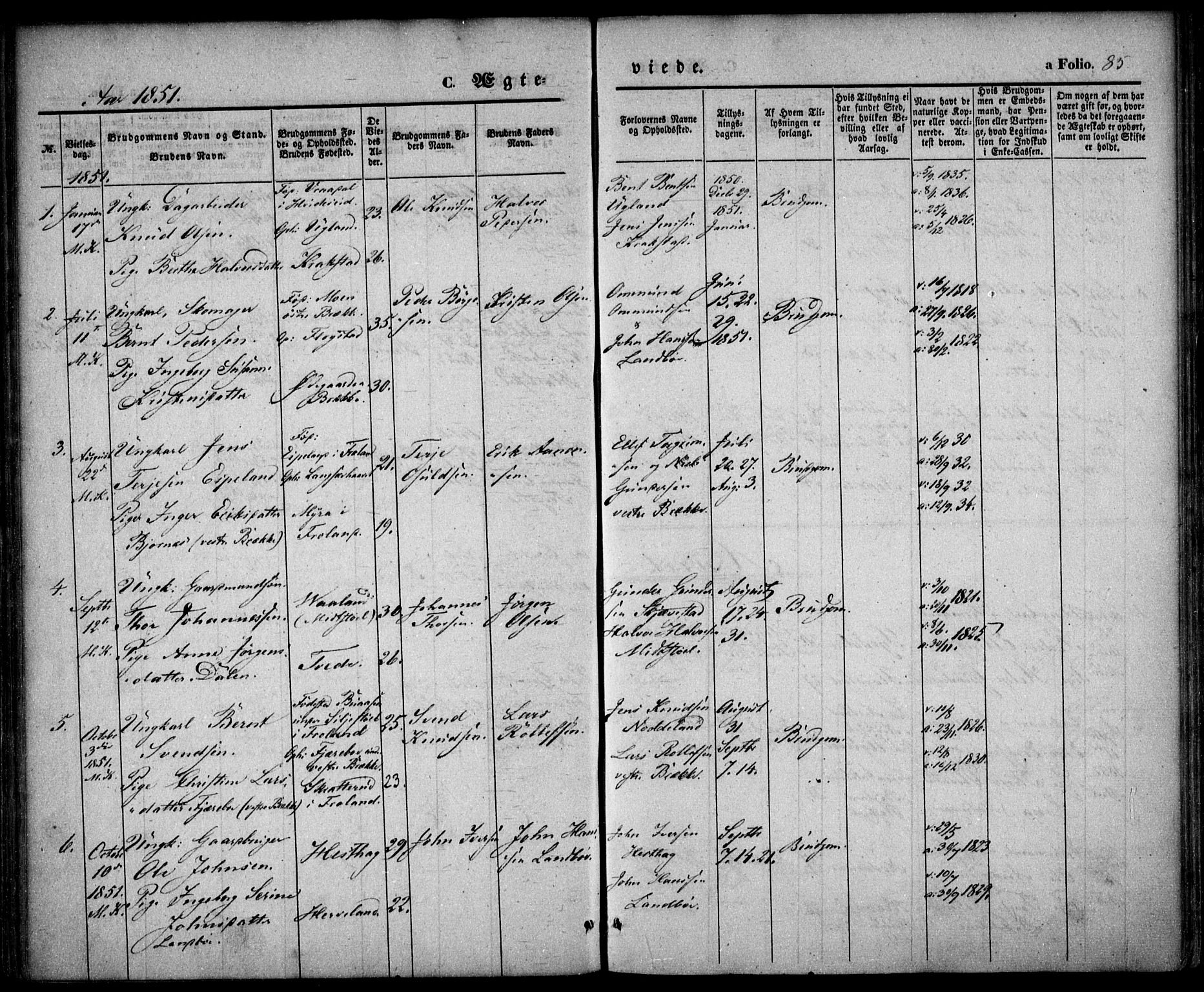 Austre Moland sokneprestkontor, SAK/1111-0001/F/Fa/Faa/L0007: Parish register (official) no. A 7, 1847-1857, p. 85