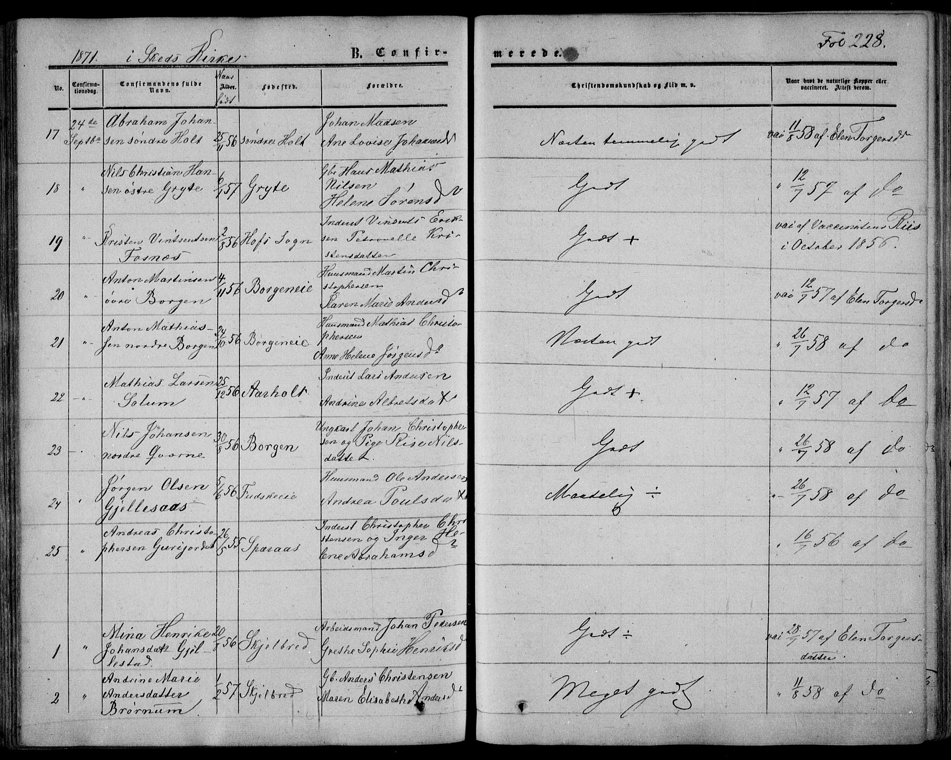 Stokke kirkebøker, SAKO/A-320/F/Fa/L0008: Parish register (official) no. I 8, 1858-1871, p. 228