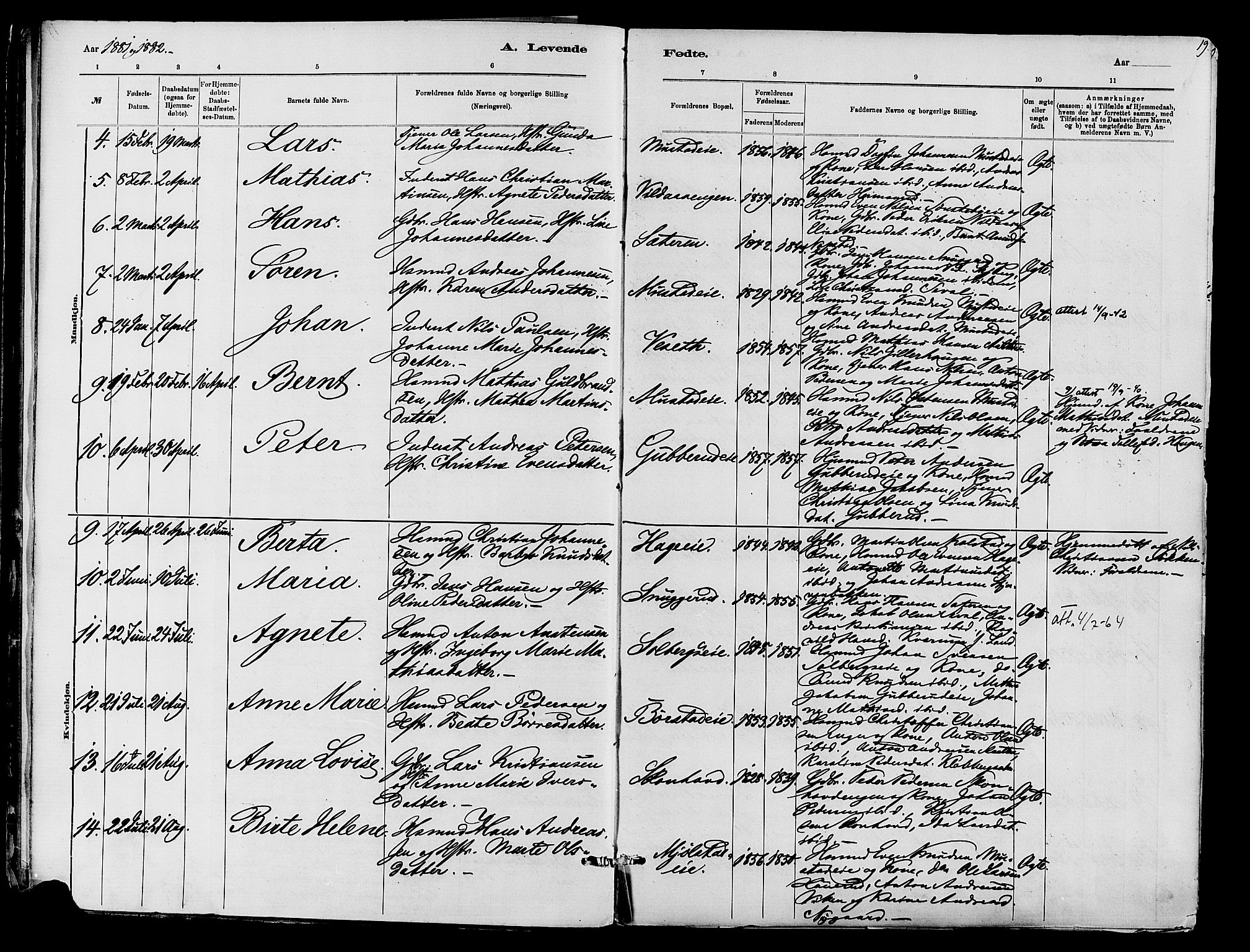 Vardal prestekontor, AV/SAH-PREST-100/H/Ha/Haa/L0010: Parish register (official) no. 10, 1878-1893, p. 19