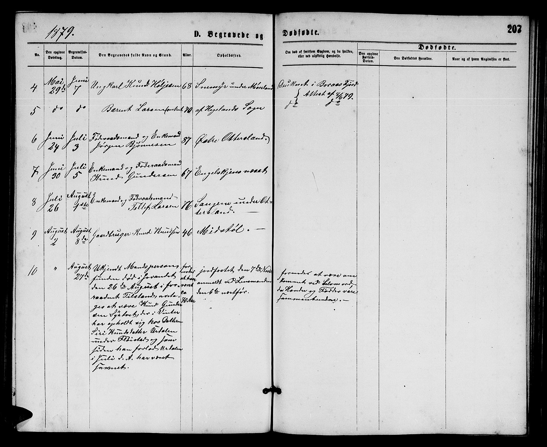 Austre Moland sokneprestkontor, AV/SAK-1111-0001/F/Fb/Fba/L0002: Parish register (copy) no. B 2, 1869-1879, p. 207