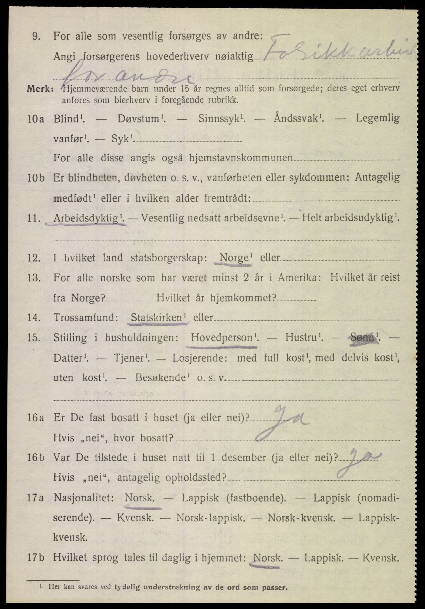 SAT, 1920 census for Hamarøy, 1920, p. 4851