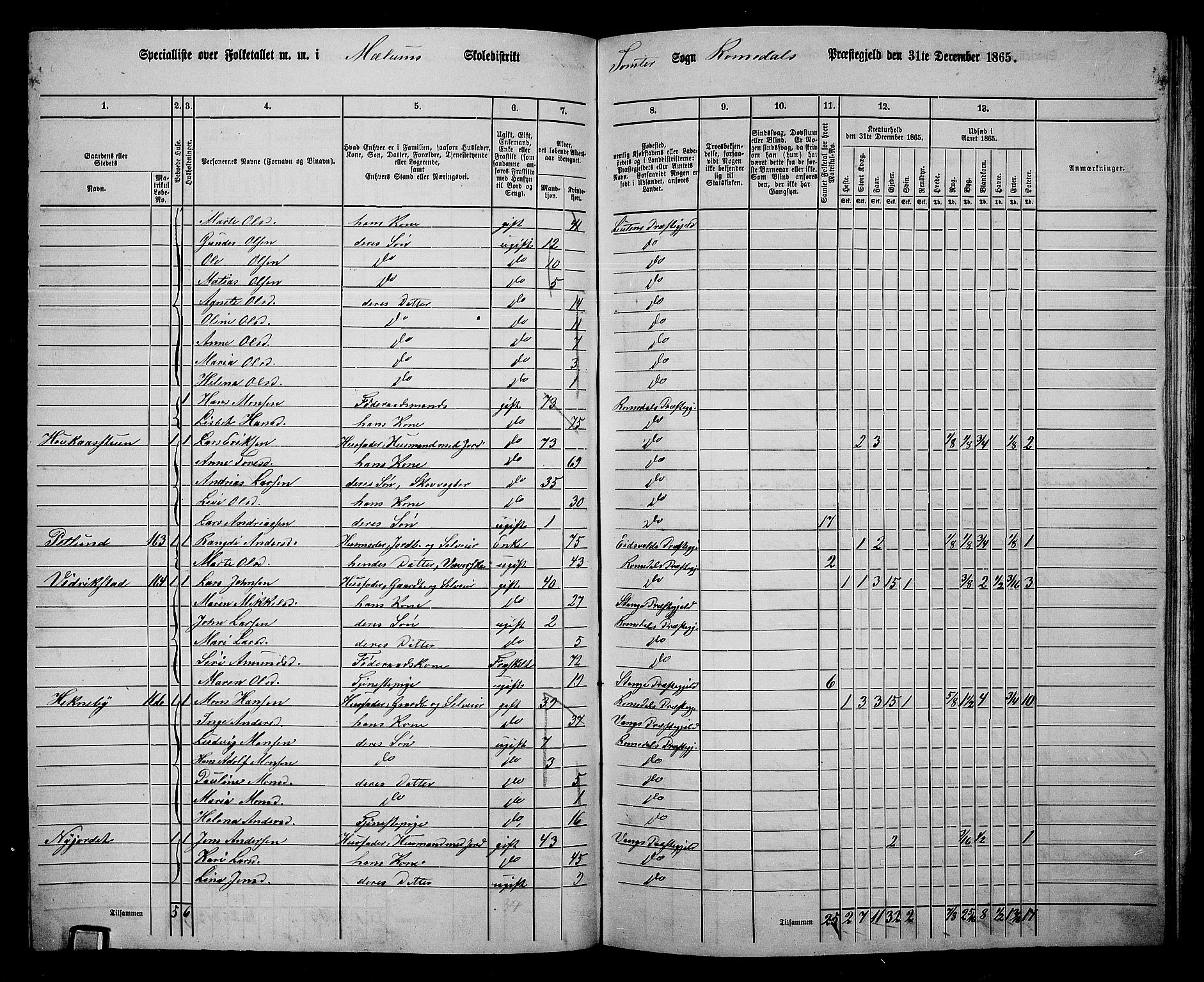 RA, 1865 census for Romedal, 1865, p. 144