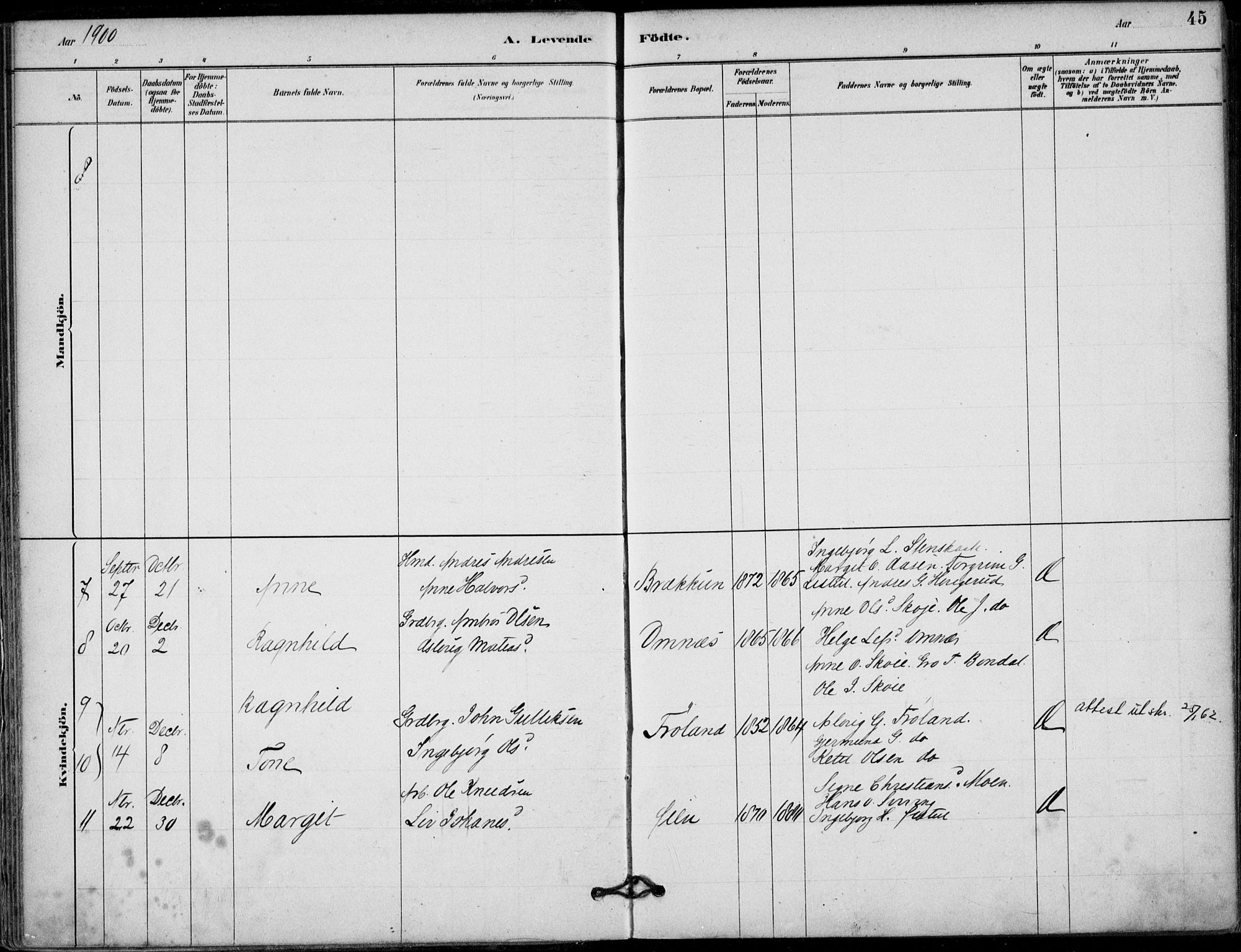 Hjartdal kirkebøker, SAKO/A-270/F/Fb/L0002: Parish register (official) no. II 2, 1880-1932, p. 45