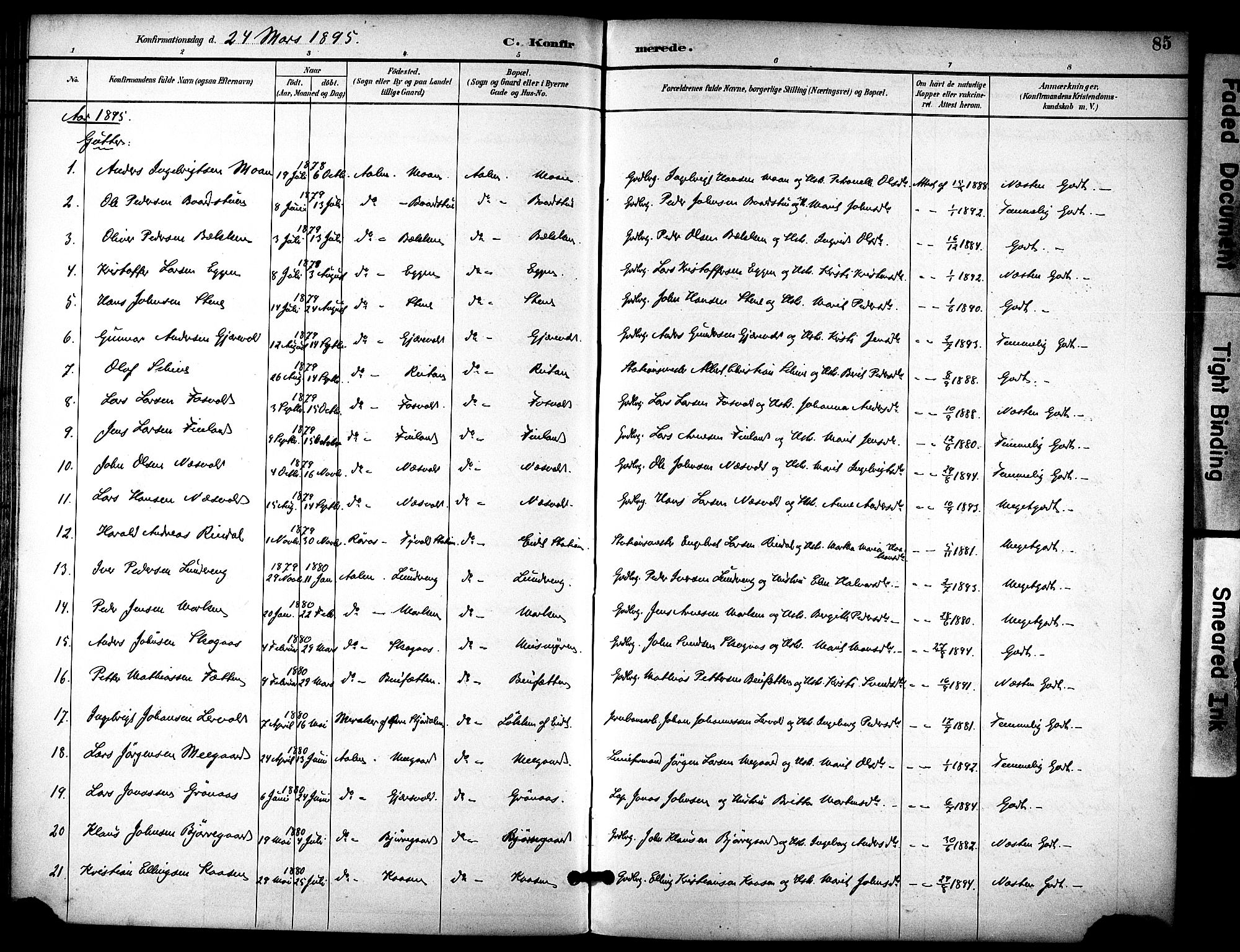 Ministerialprotokoller, klokkerbøker og fødselsregistre - Sør-Trøndelag, SAT/A-1456/686/L0984: Parish register (official) no. 686A02, 1891-1906, p. 85